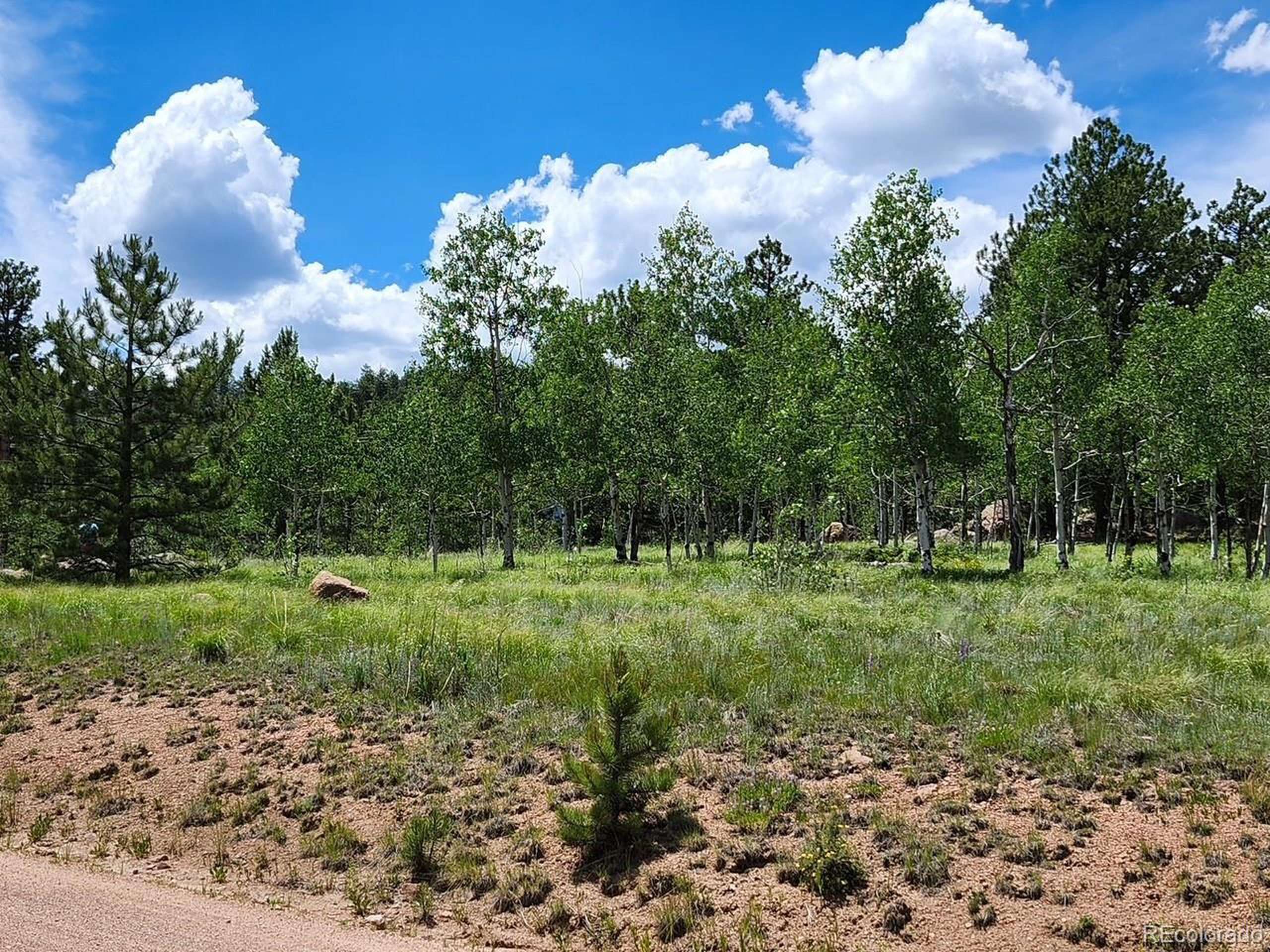 Florissant, CO 80816,501 Cr-403