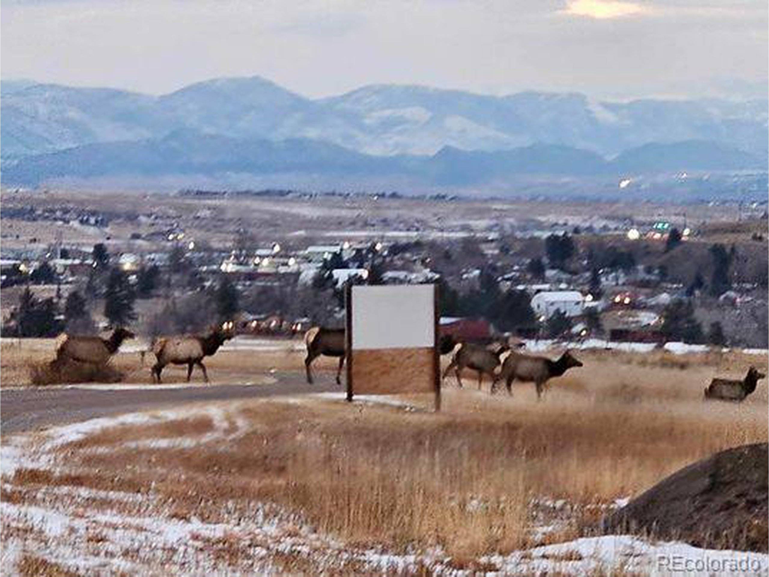Sedalia, CO 80135,3881 Turret Ln