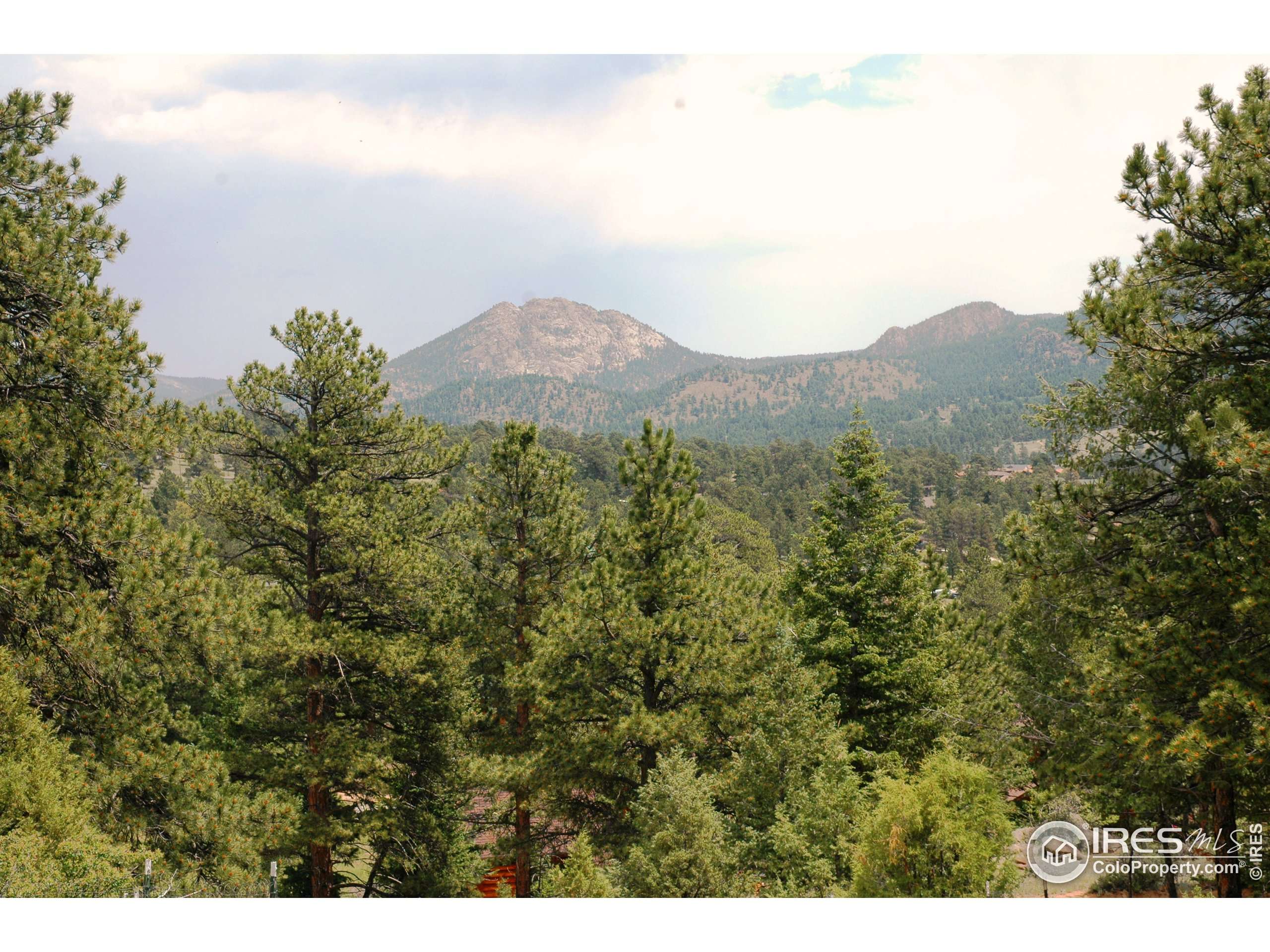 Estes Park, CO 80517,398 Bristlecone Ct