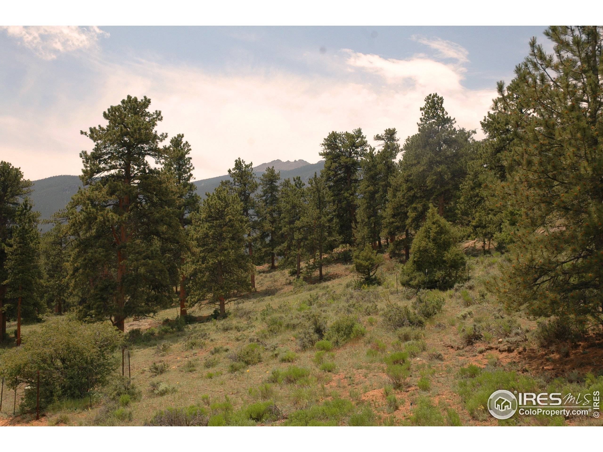 Estes Park, CO 80517,398 Bristlecone Ct