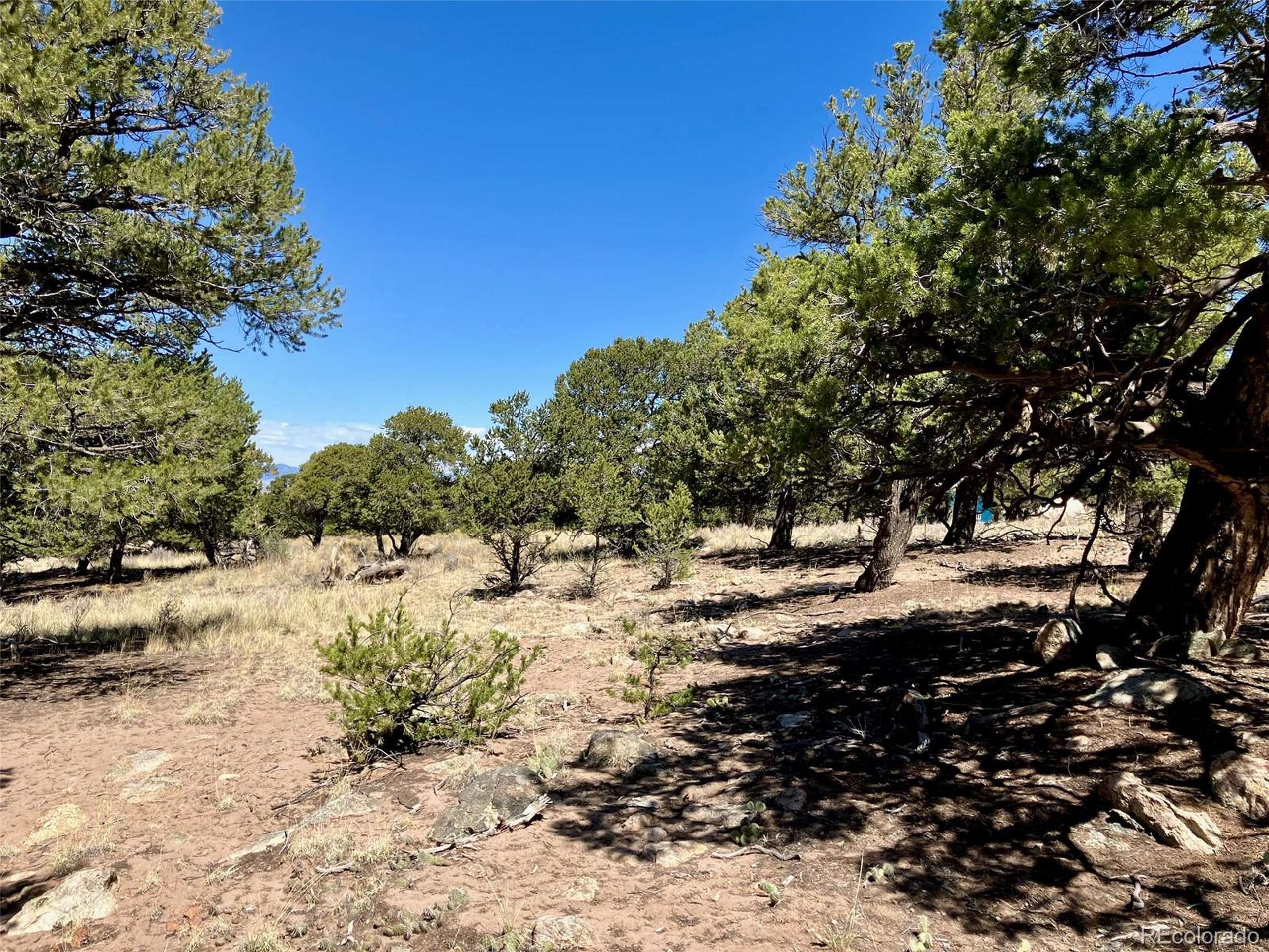 Crestone, CO 81131,4445 Rarity Way