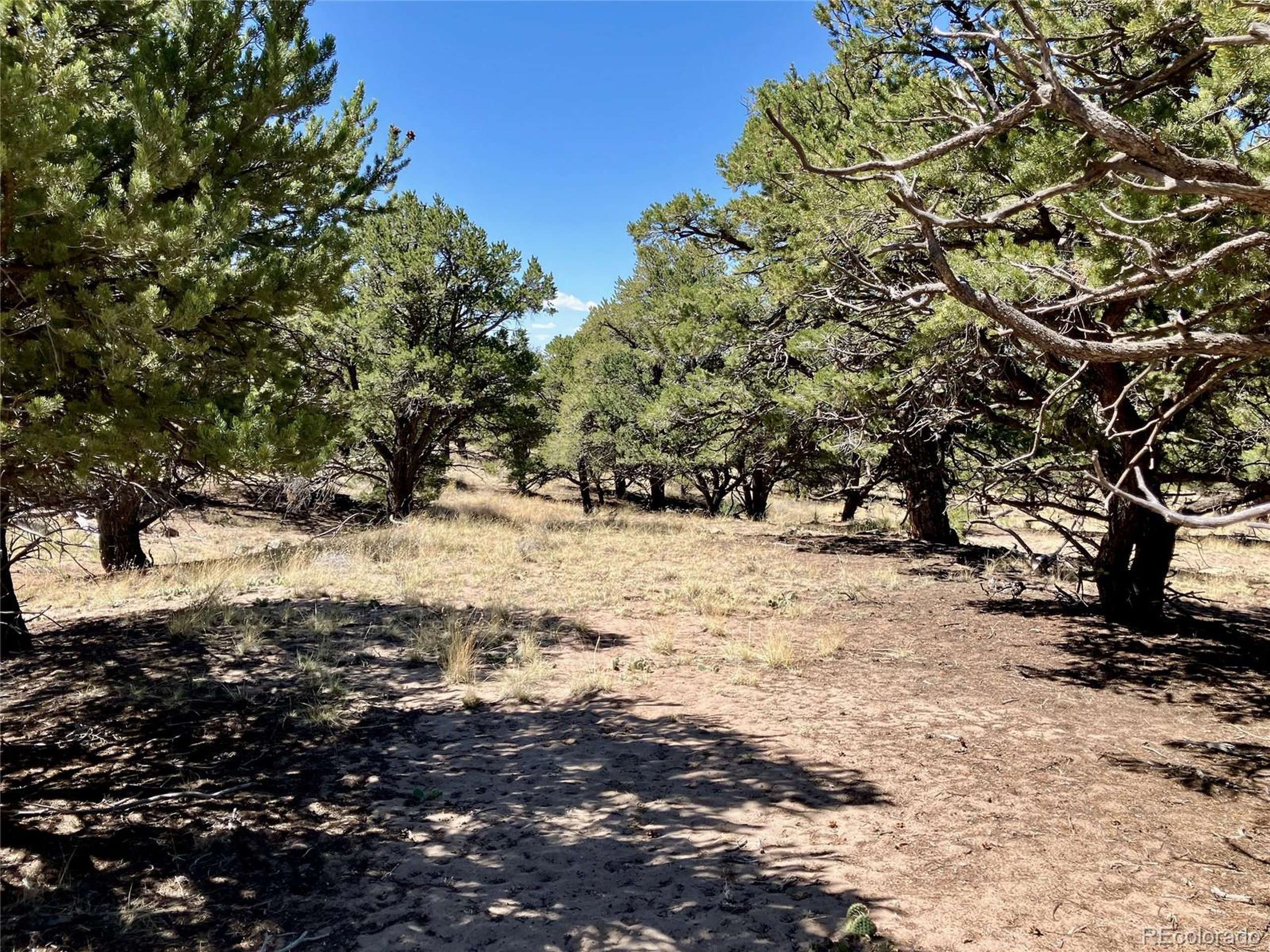 Crestone, CO 81131,4445 Rarity Way