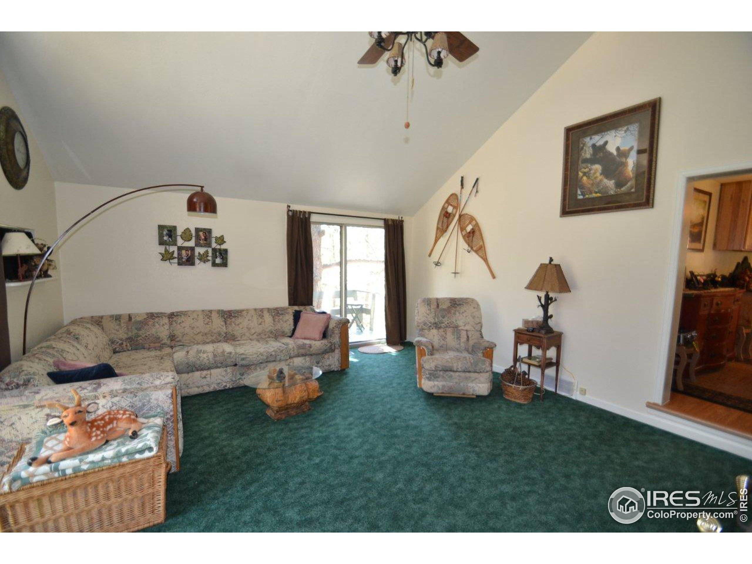 Estes Park, CO 80517,264 Moccasin Cir Dr