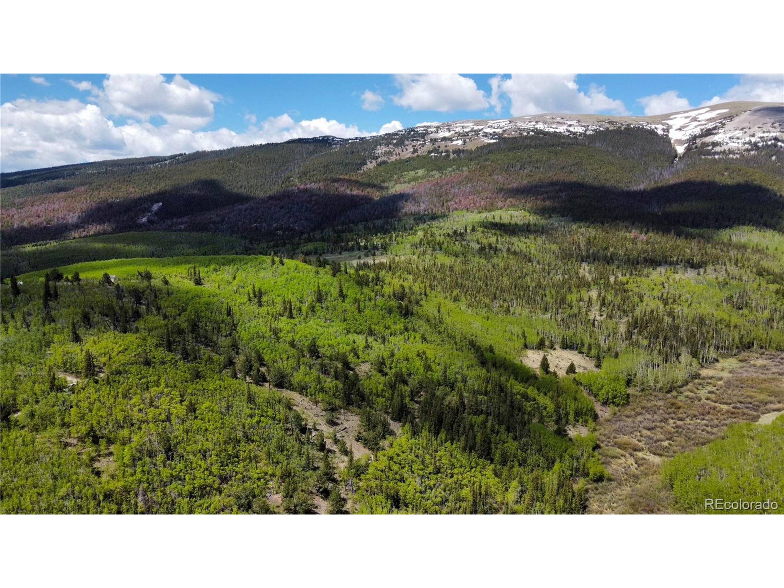 Fairplay, CO 80440,59 Aspen Way