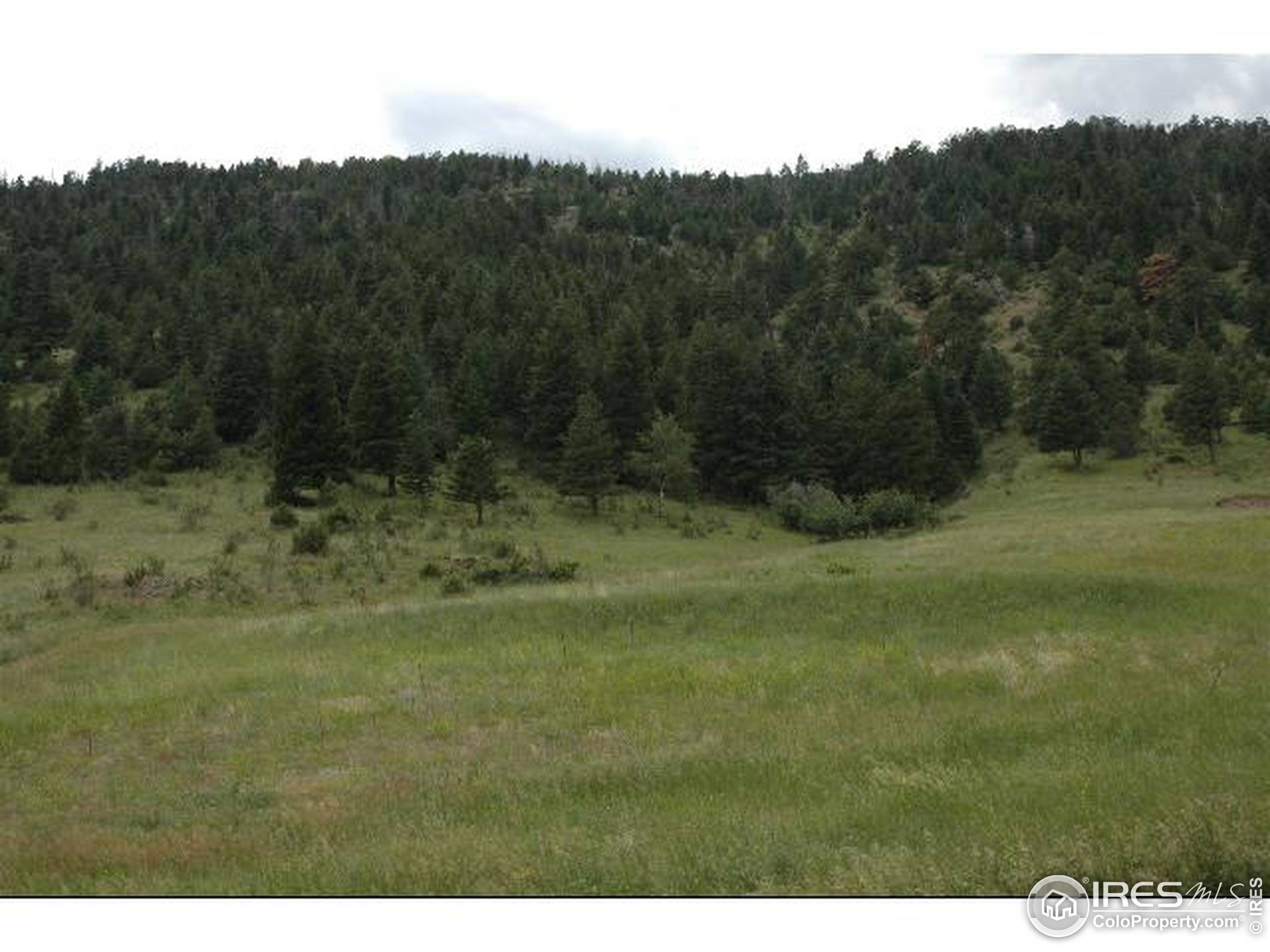 Glen Haven, CO 80532,957 Dunraven Glade Rd