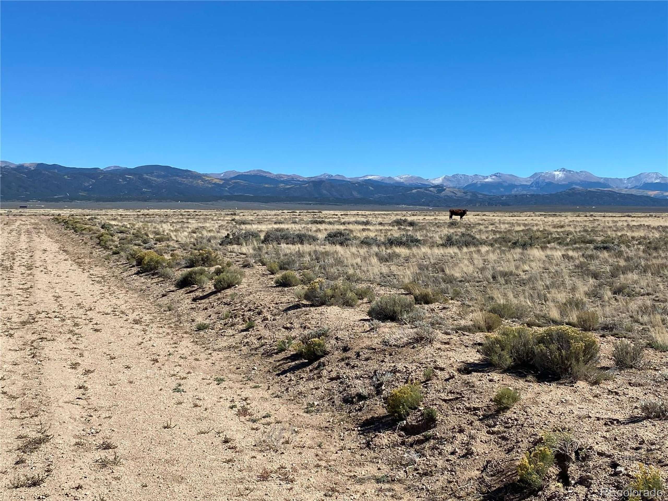 Blanca, CO 81133,Lot 13 South Second St