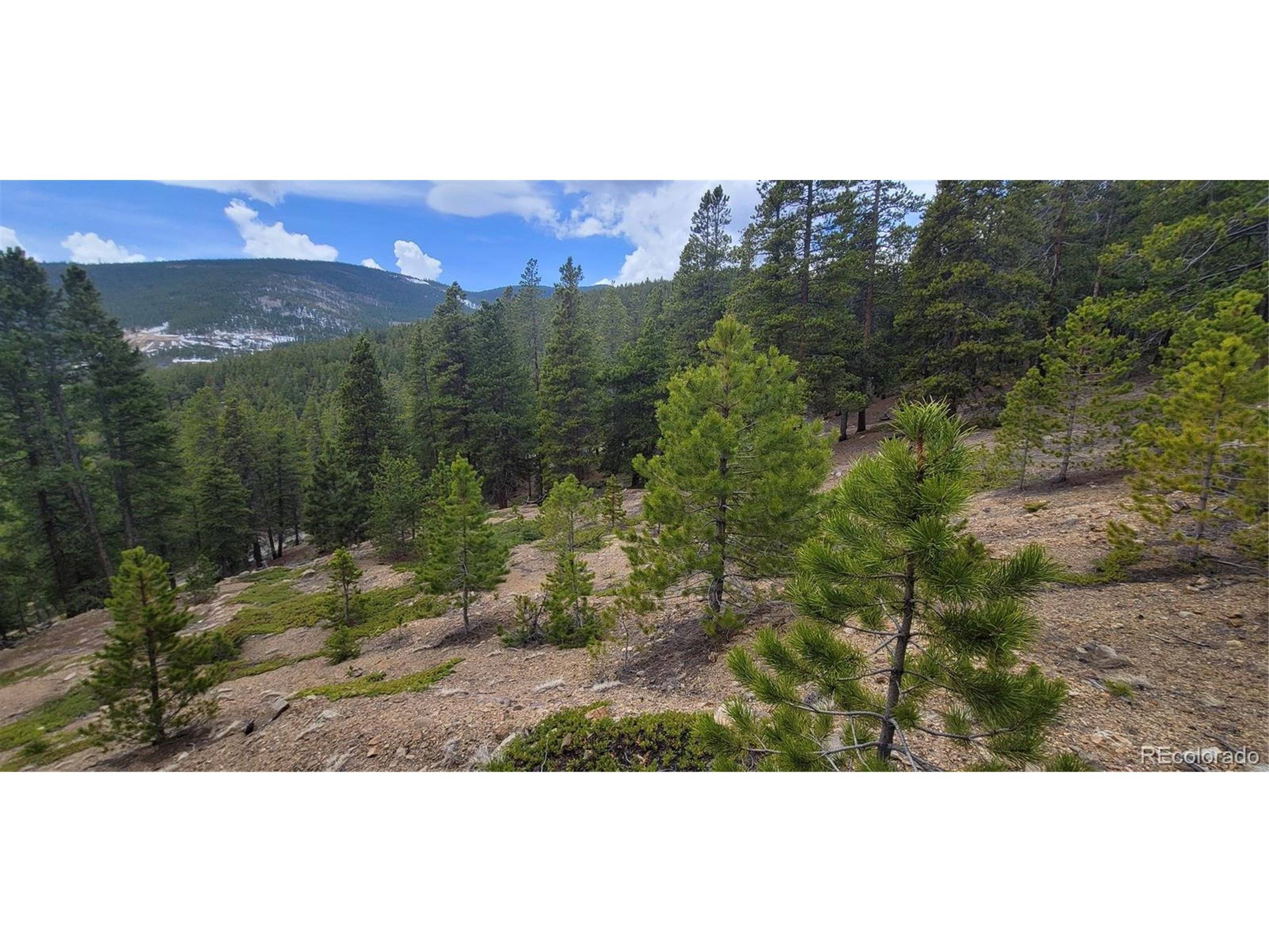 Idaho Springs, CO 80452,0 Hildred Claim