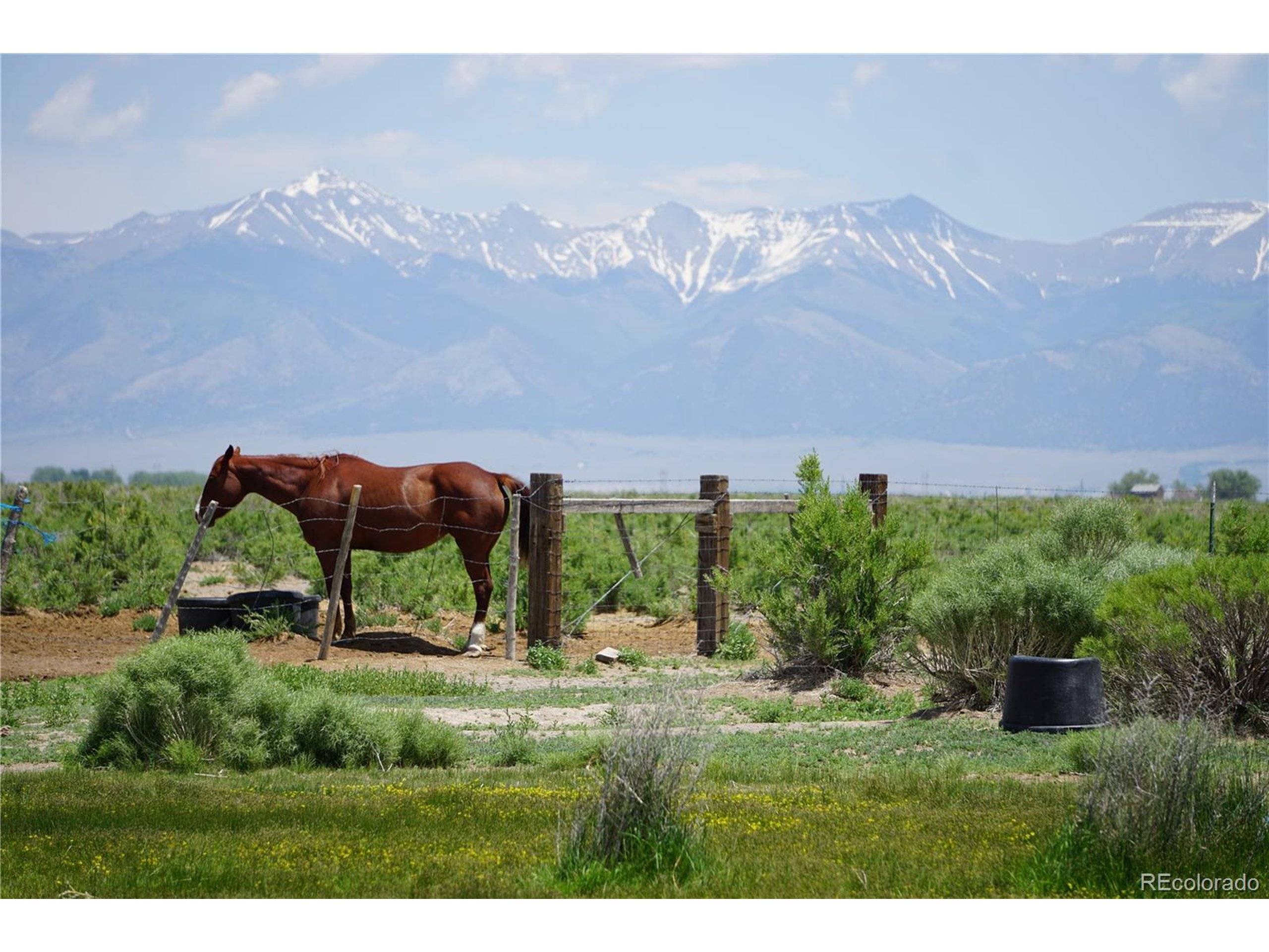 Saguache, CO 81149,Address not disclosed