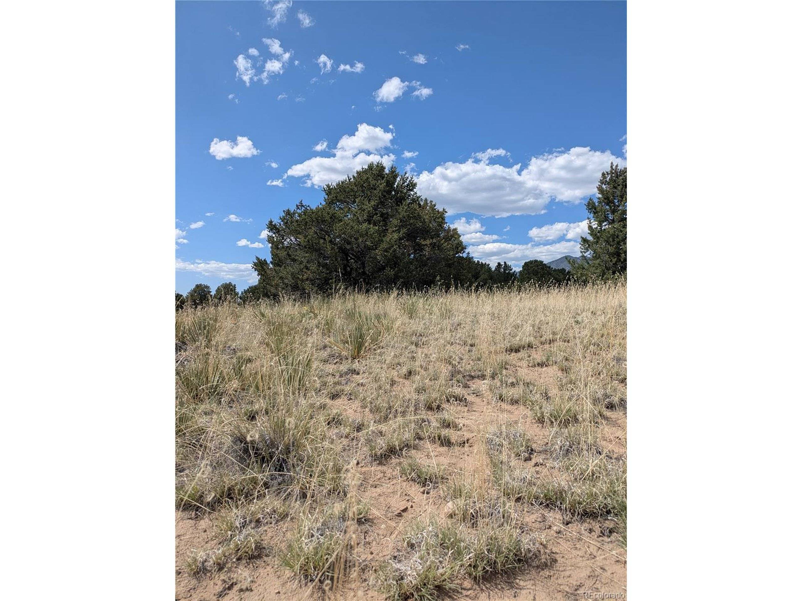 Crestone, CO 81131,3213 Enchanted Ct