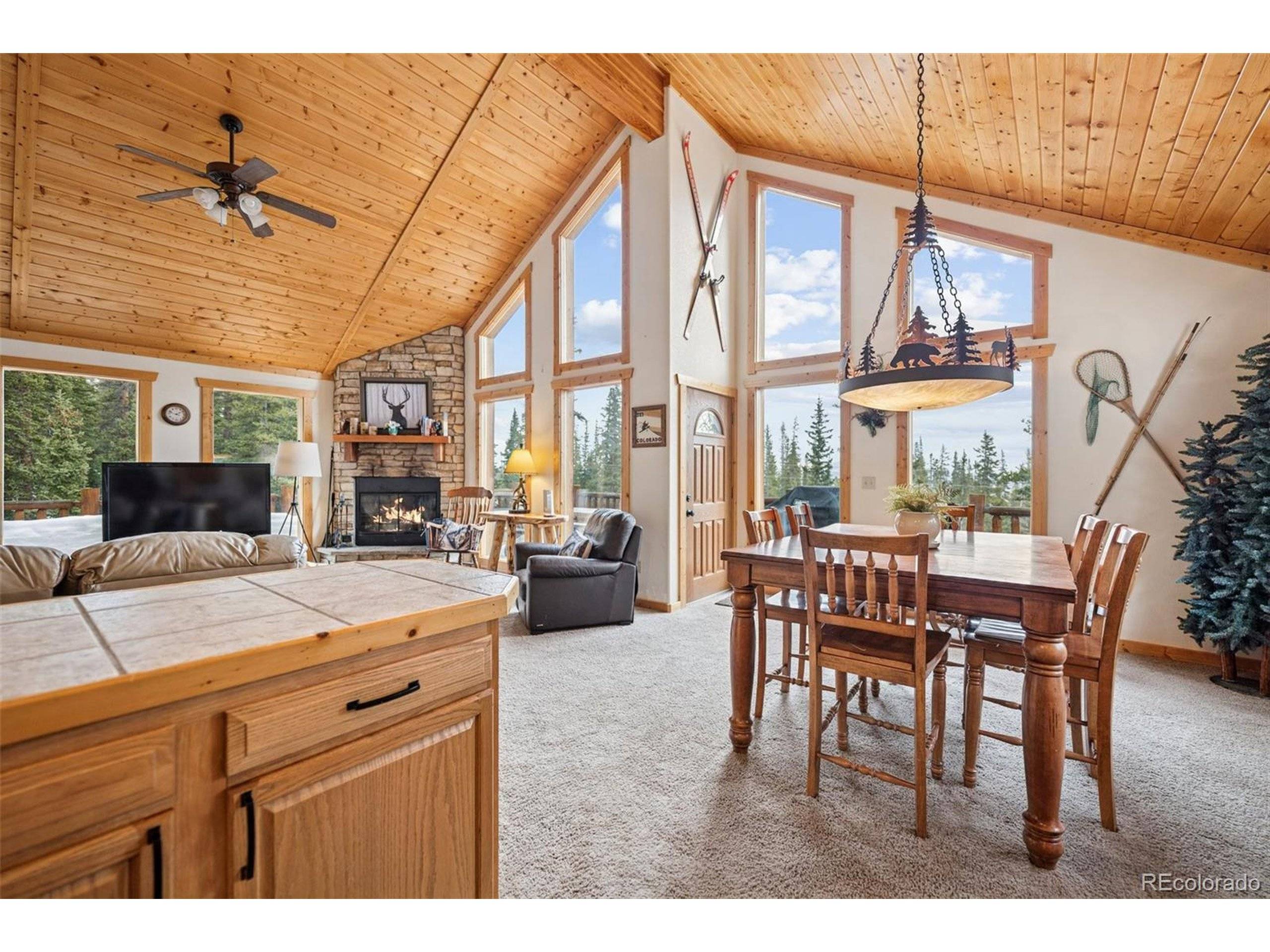 Fairplay, CO 80440,585 Miners Way