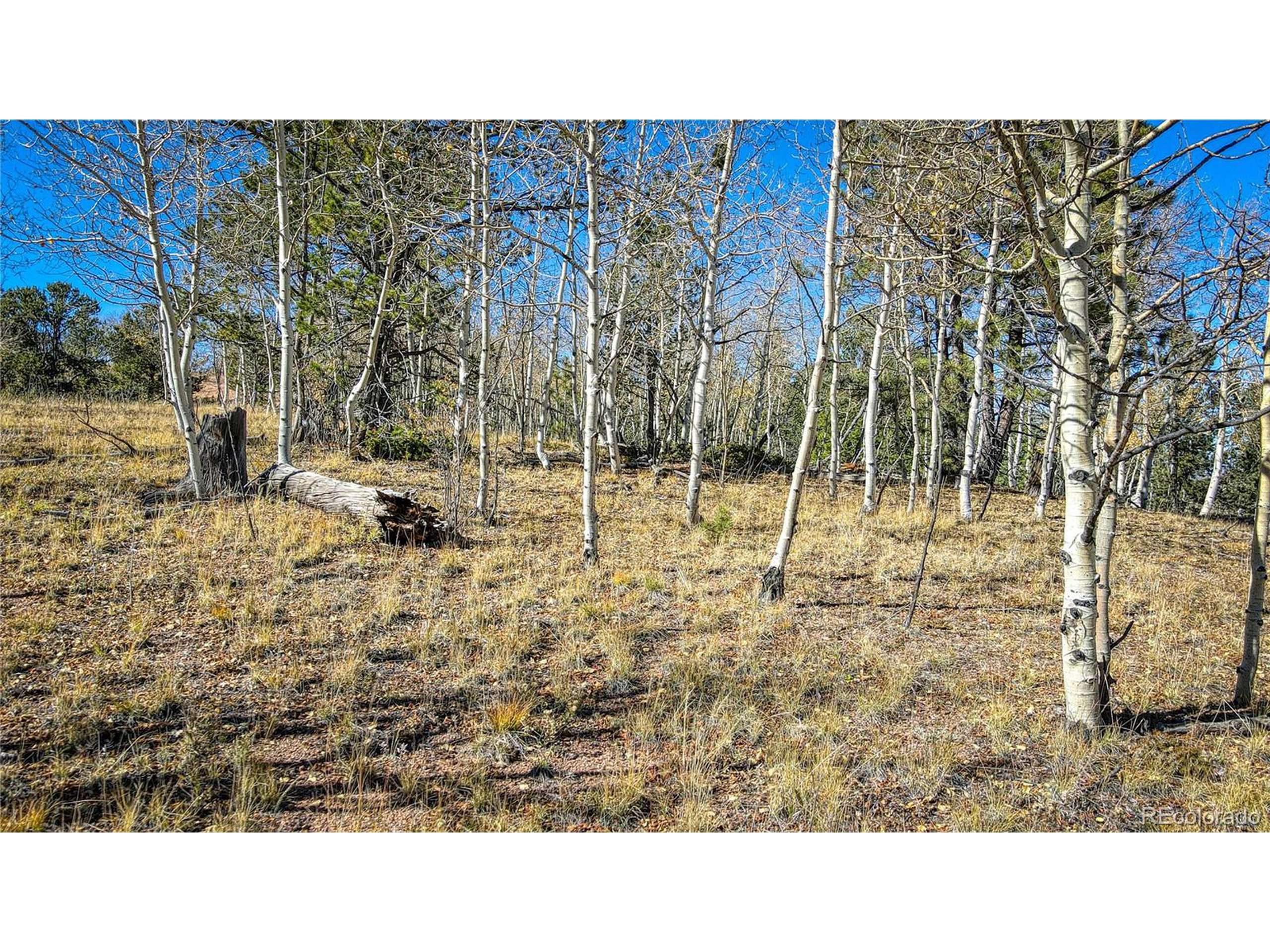 Cripple Creek, CO 80813,1343 Golden Cycle Cir