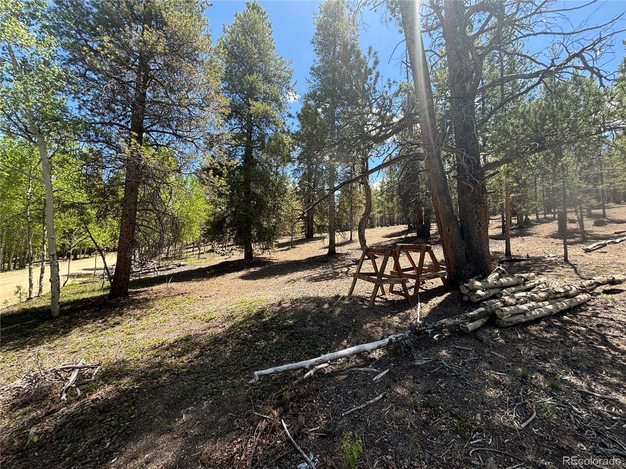 Twin Lakes, CO 81251,738 Lodgepole Dr