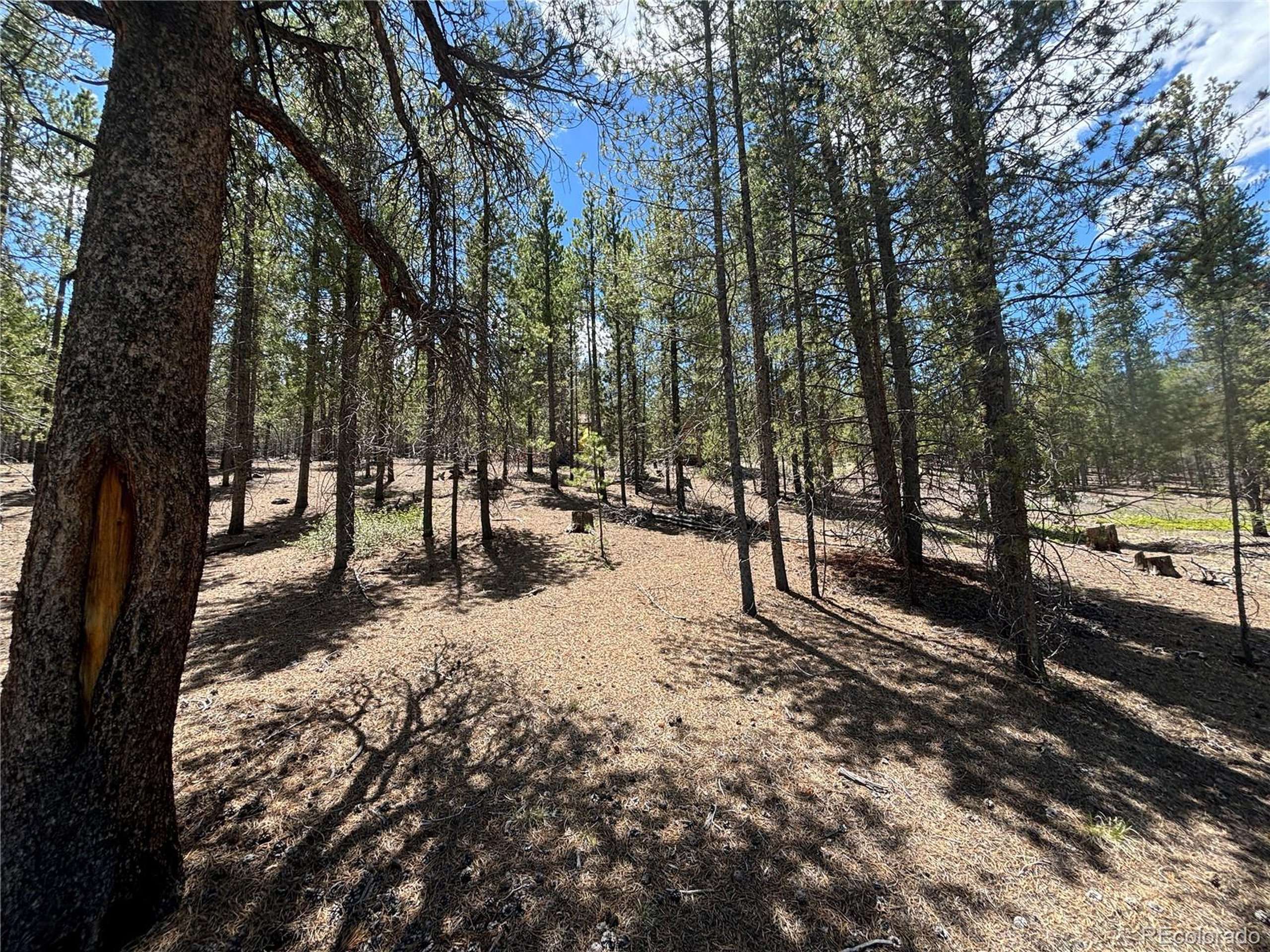 Twin Lakes, CO 81251,738 Lodgepole Dr