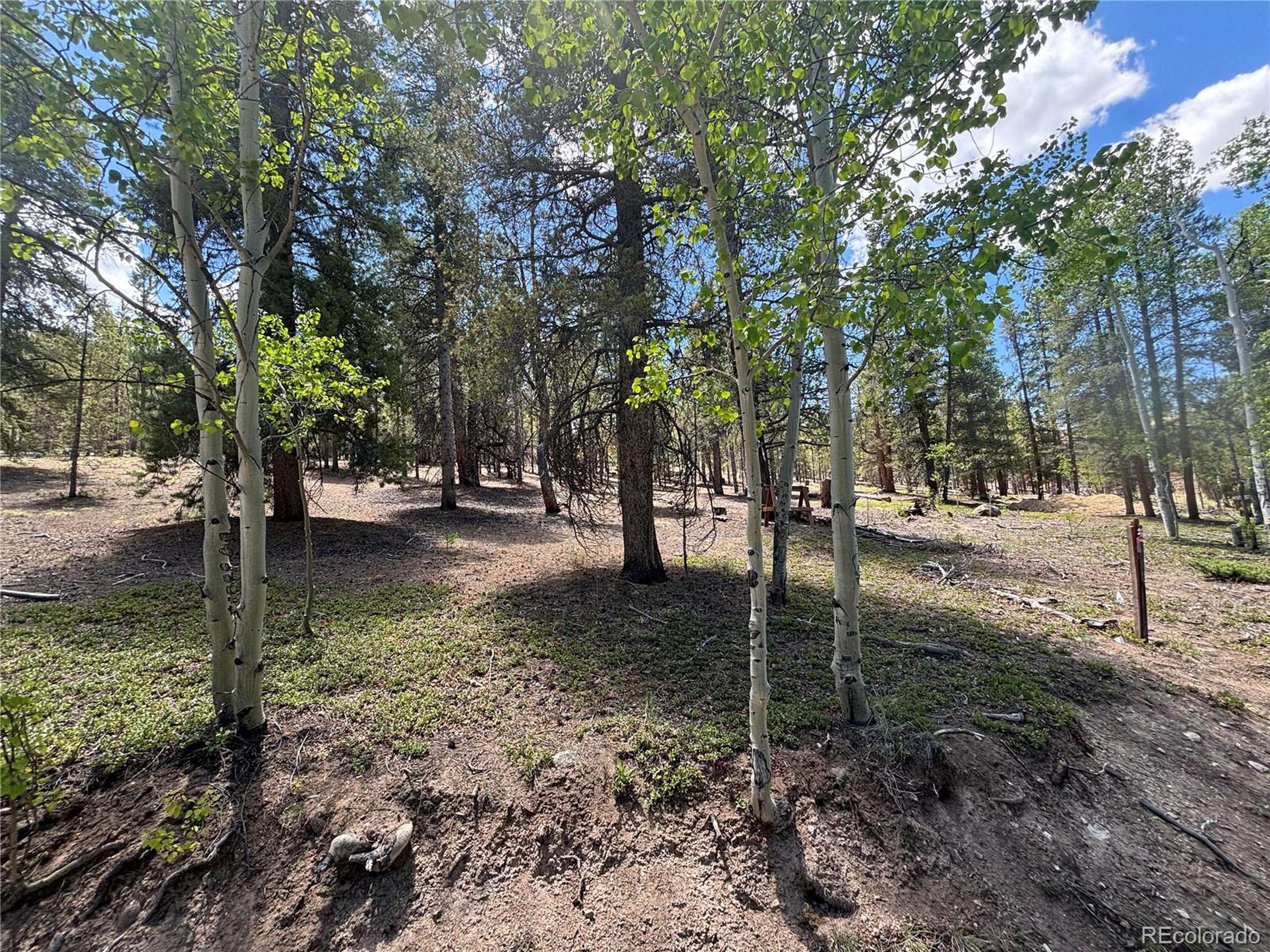 Twin Lakes, CO 81251,738 Lodgepole Dr