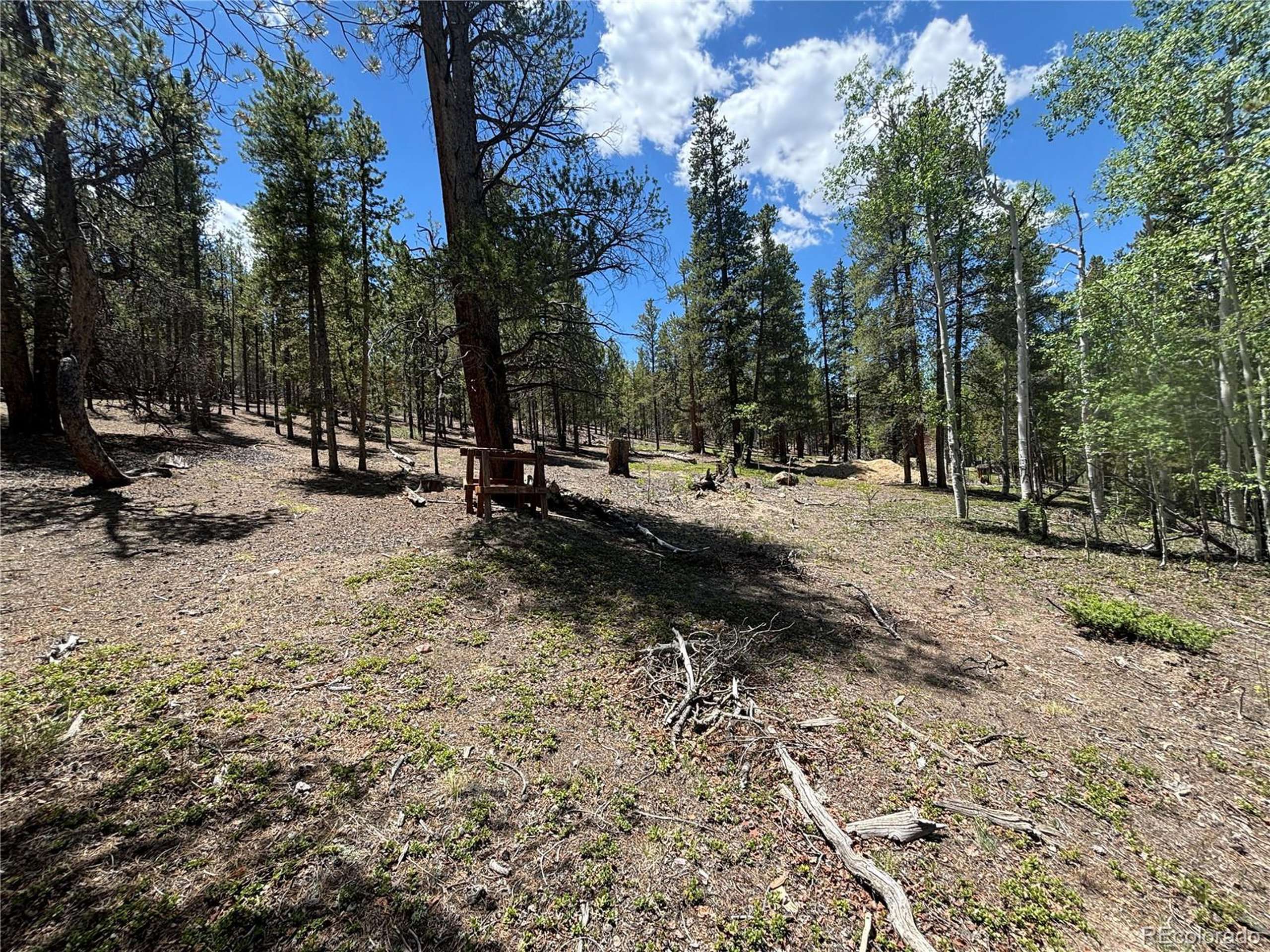 Twin Lakes, CO 81251,738 Lodgepole Dr