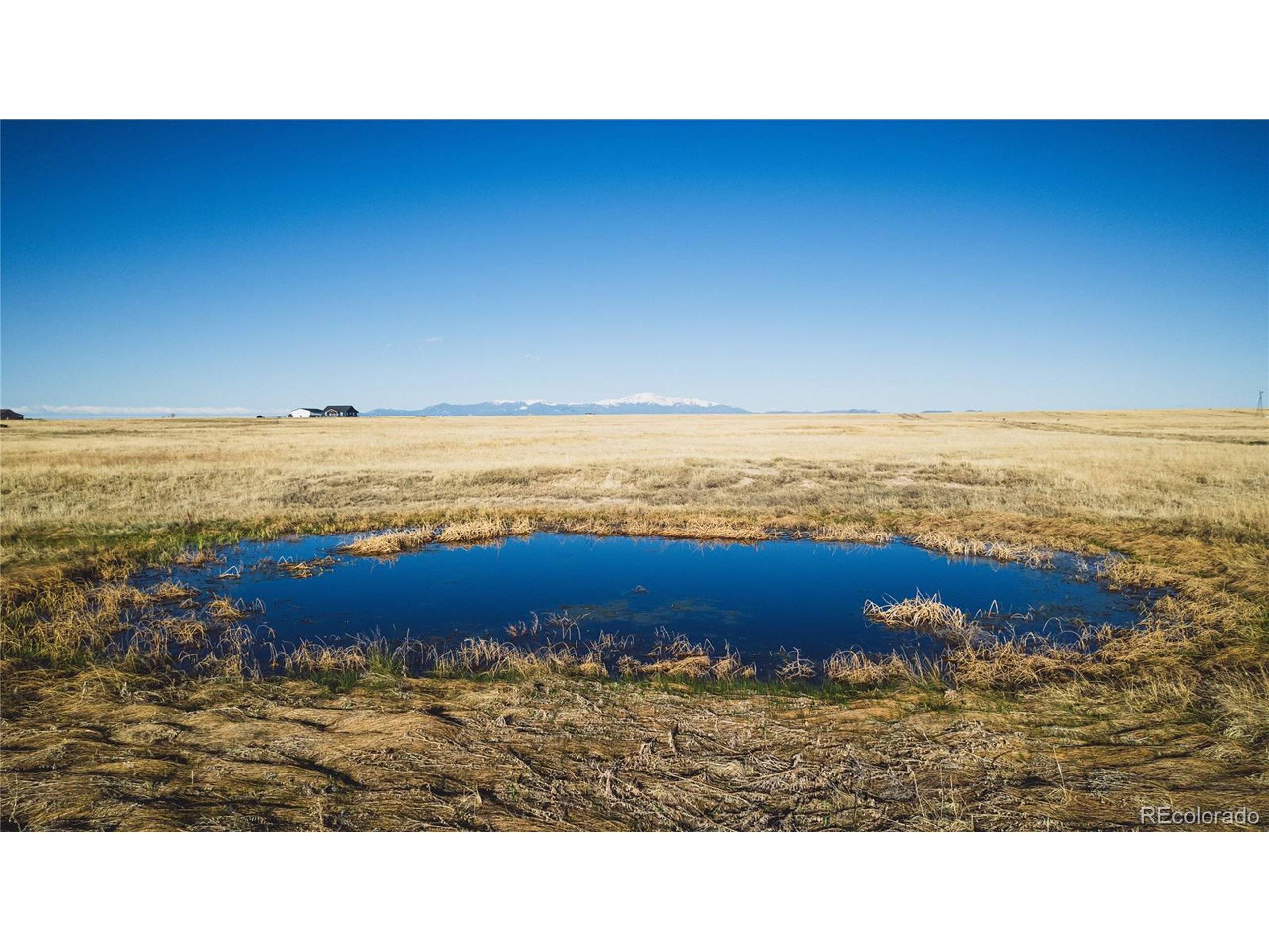 Peyton, CO 80831,7950 N Peyton Hwy