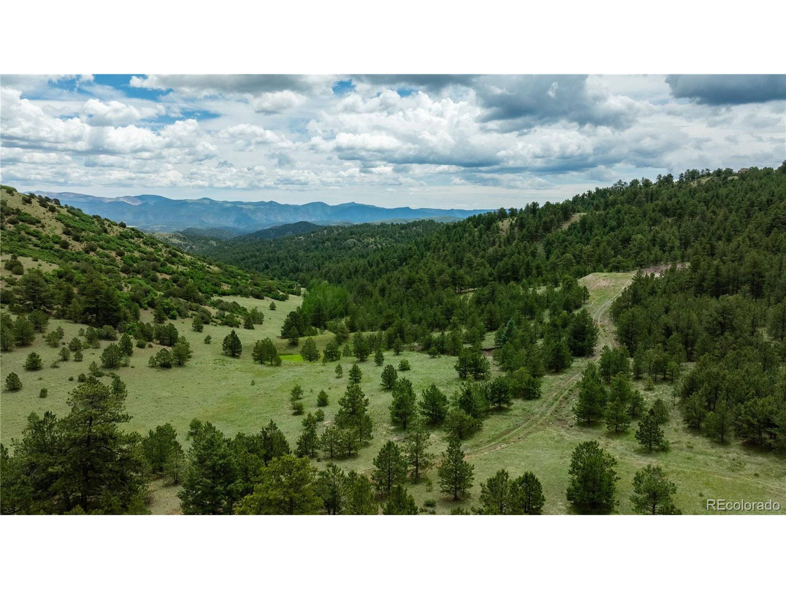 Canon City, CO 81212,112 Spruce Ln