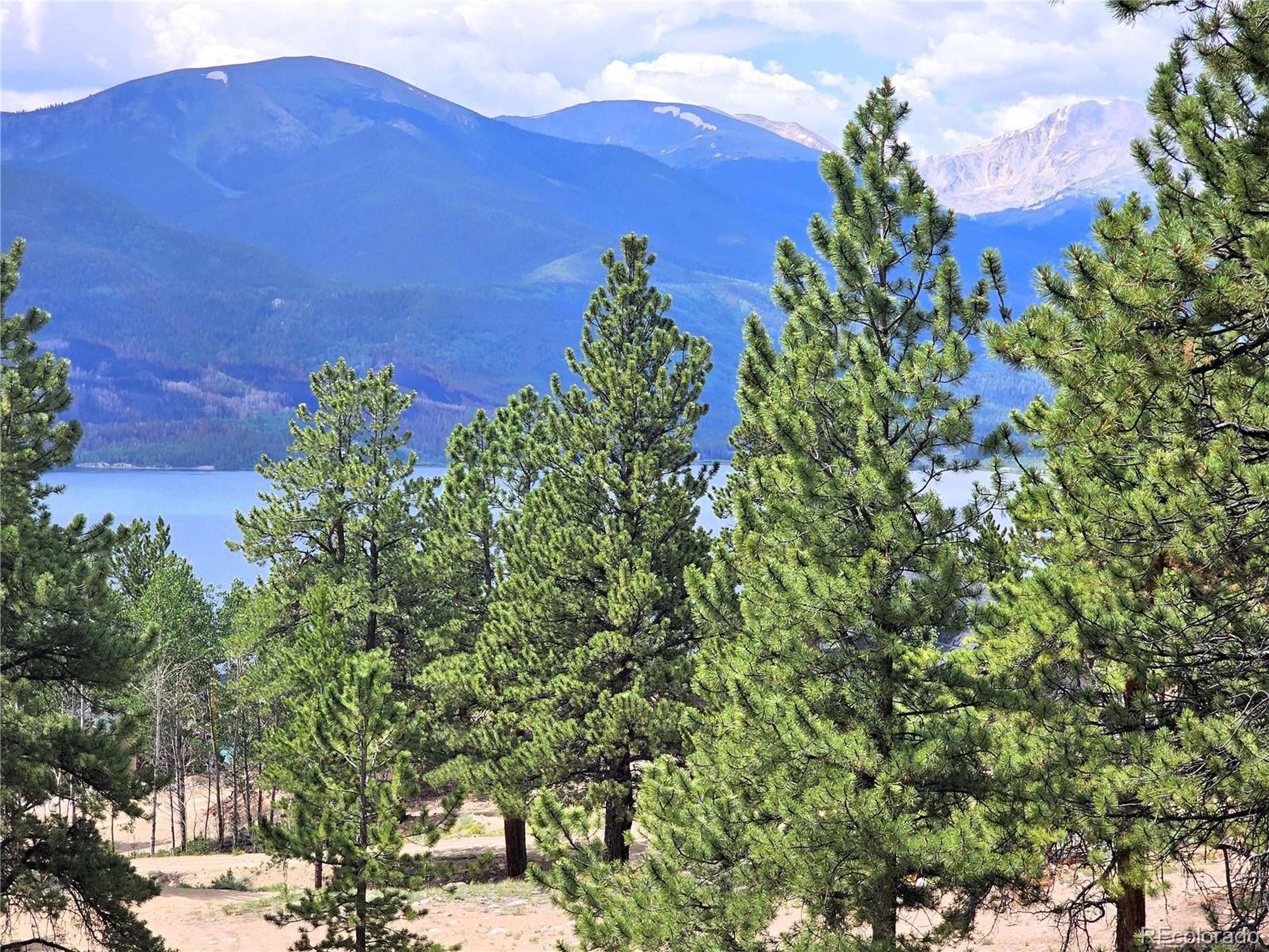 Twin Lakes, CO 81251,368 Parry Peak Dr