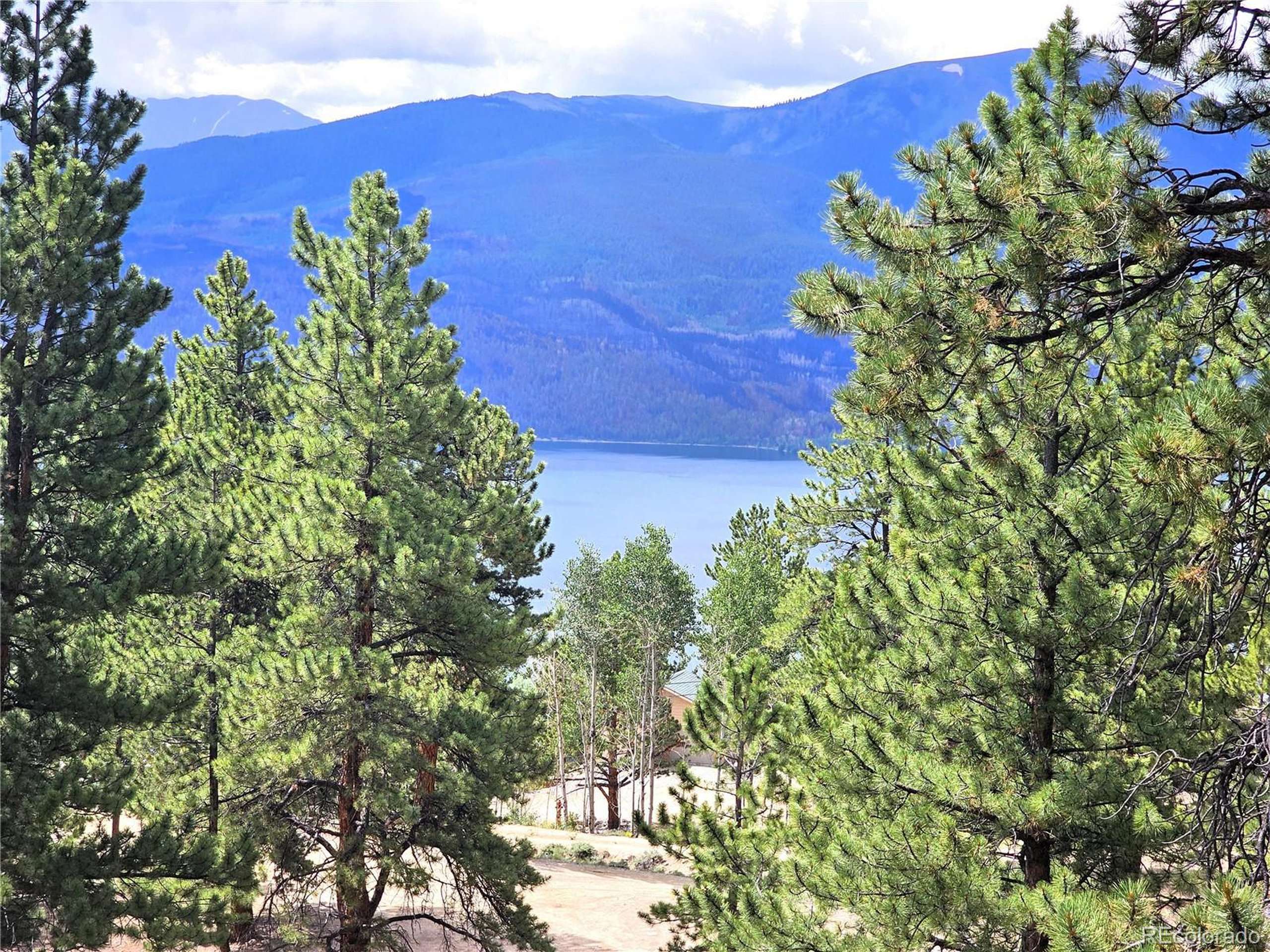 Twin Lakes, CO 81251,368 Parry Peak Dr