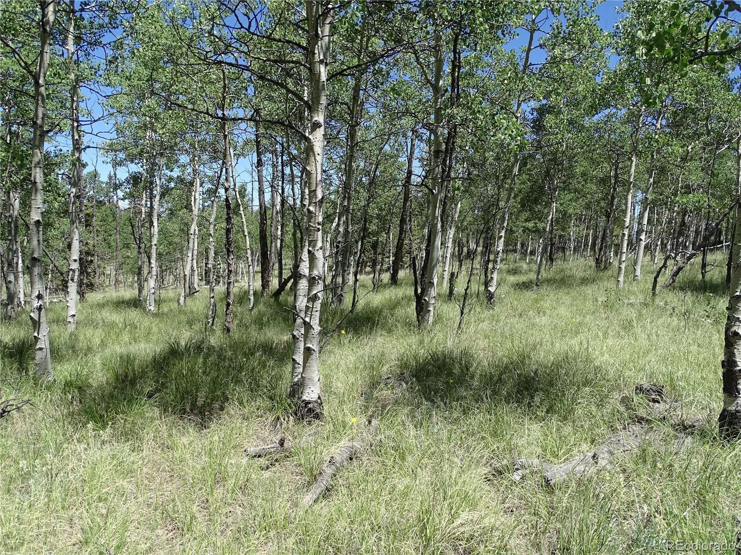 Como, CO 80432,782 Bowstring Rd