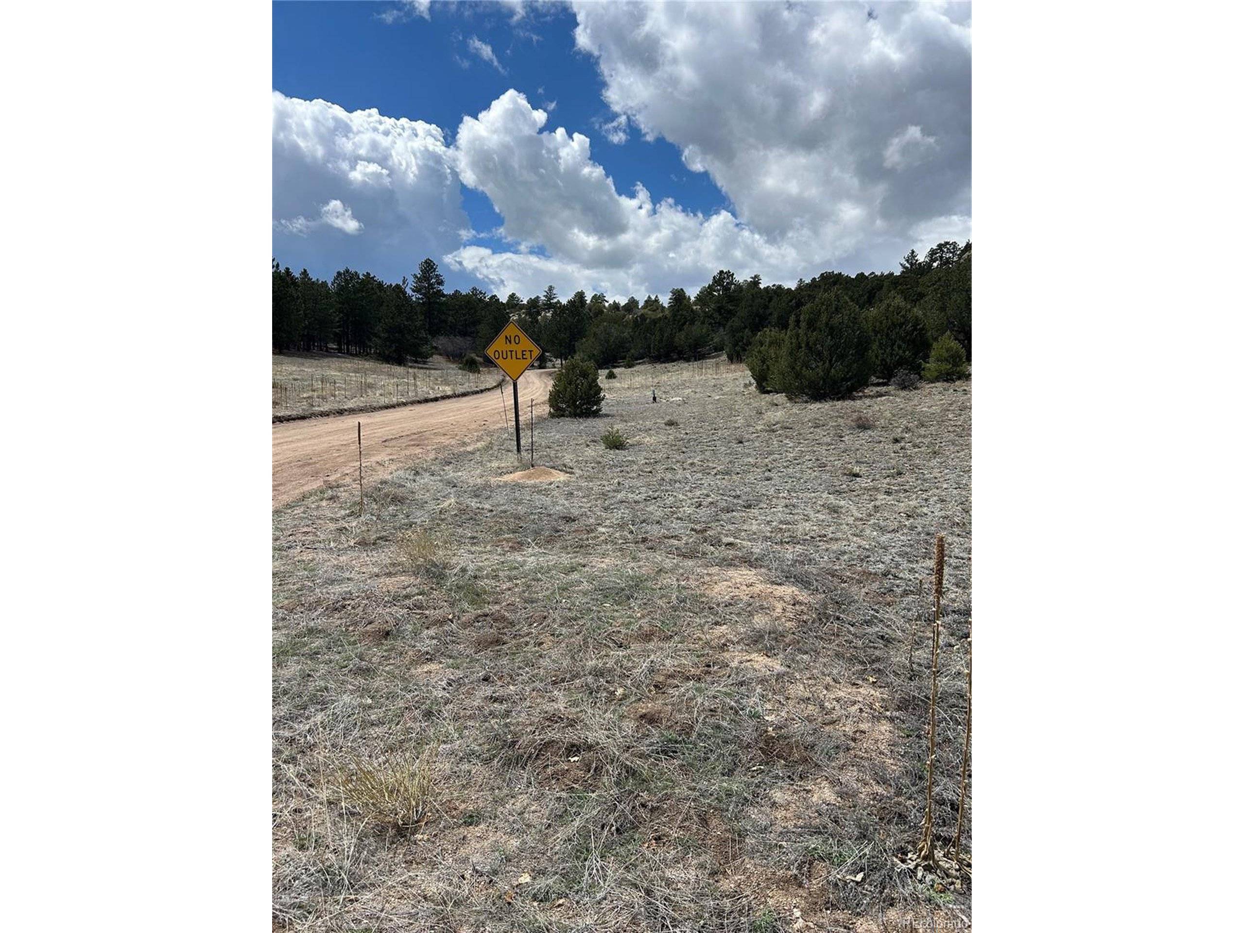 Cotopaxi, CO 81223,47 White Cloud Dr