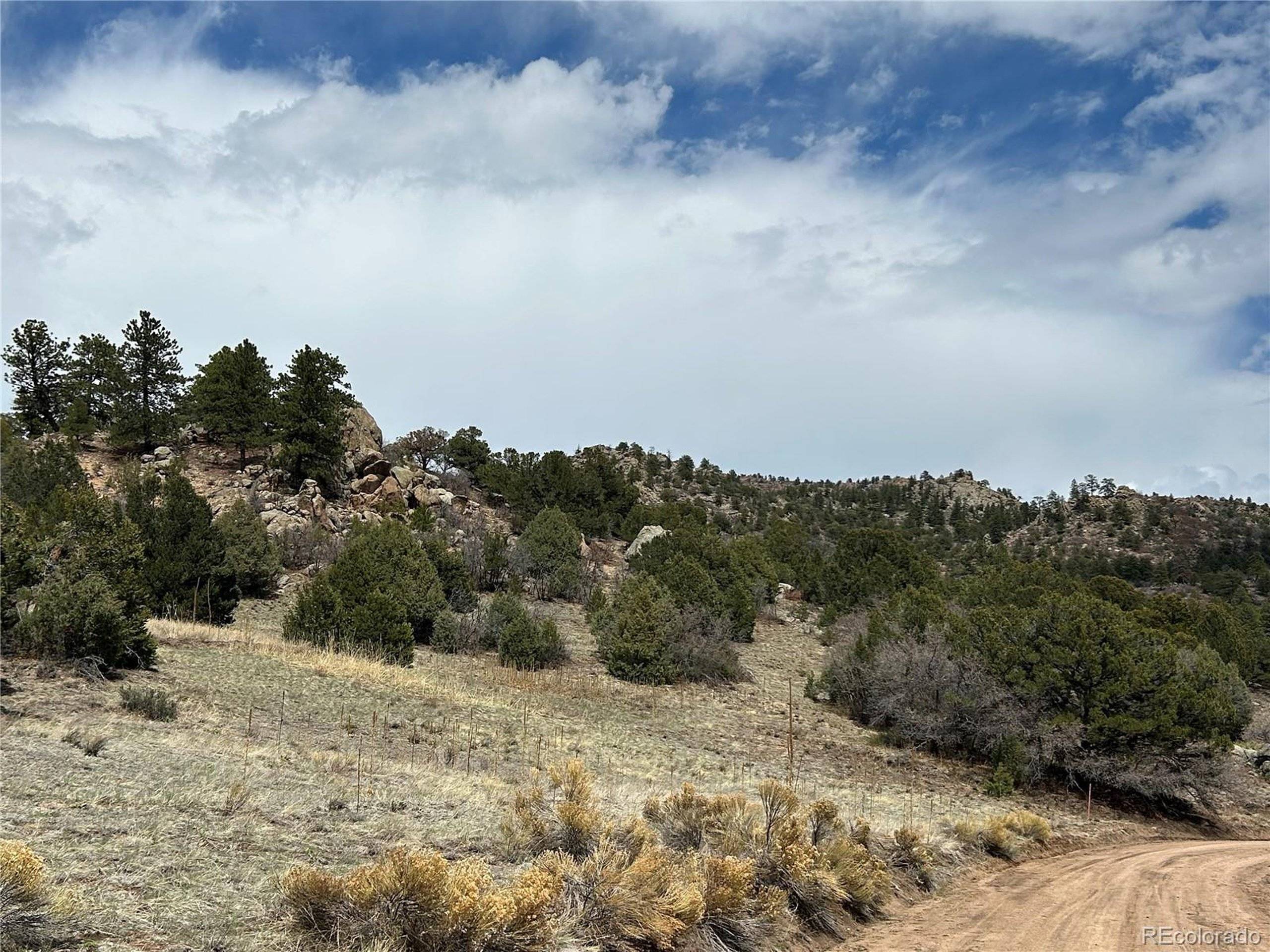 Cotopaxi, CO 81223,47 White Cloud Dr