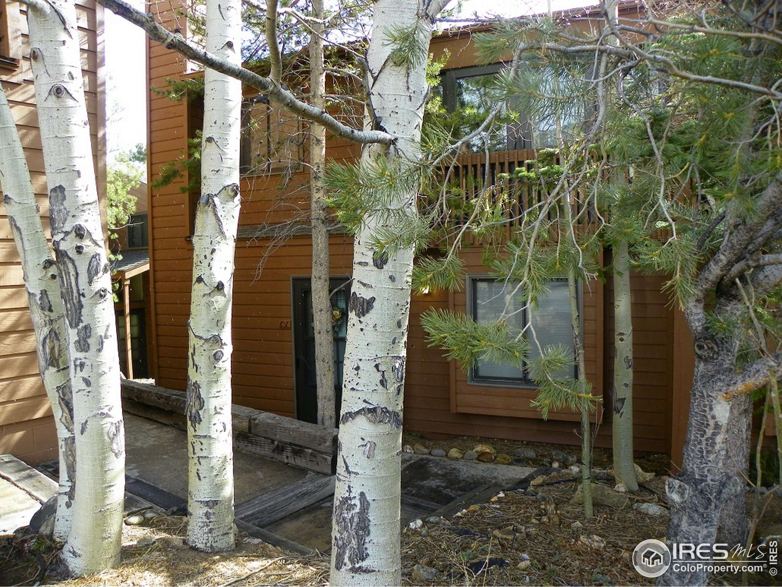 Estes Park, CO 80517,1050 S Saint Vrain Ave #1