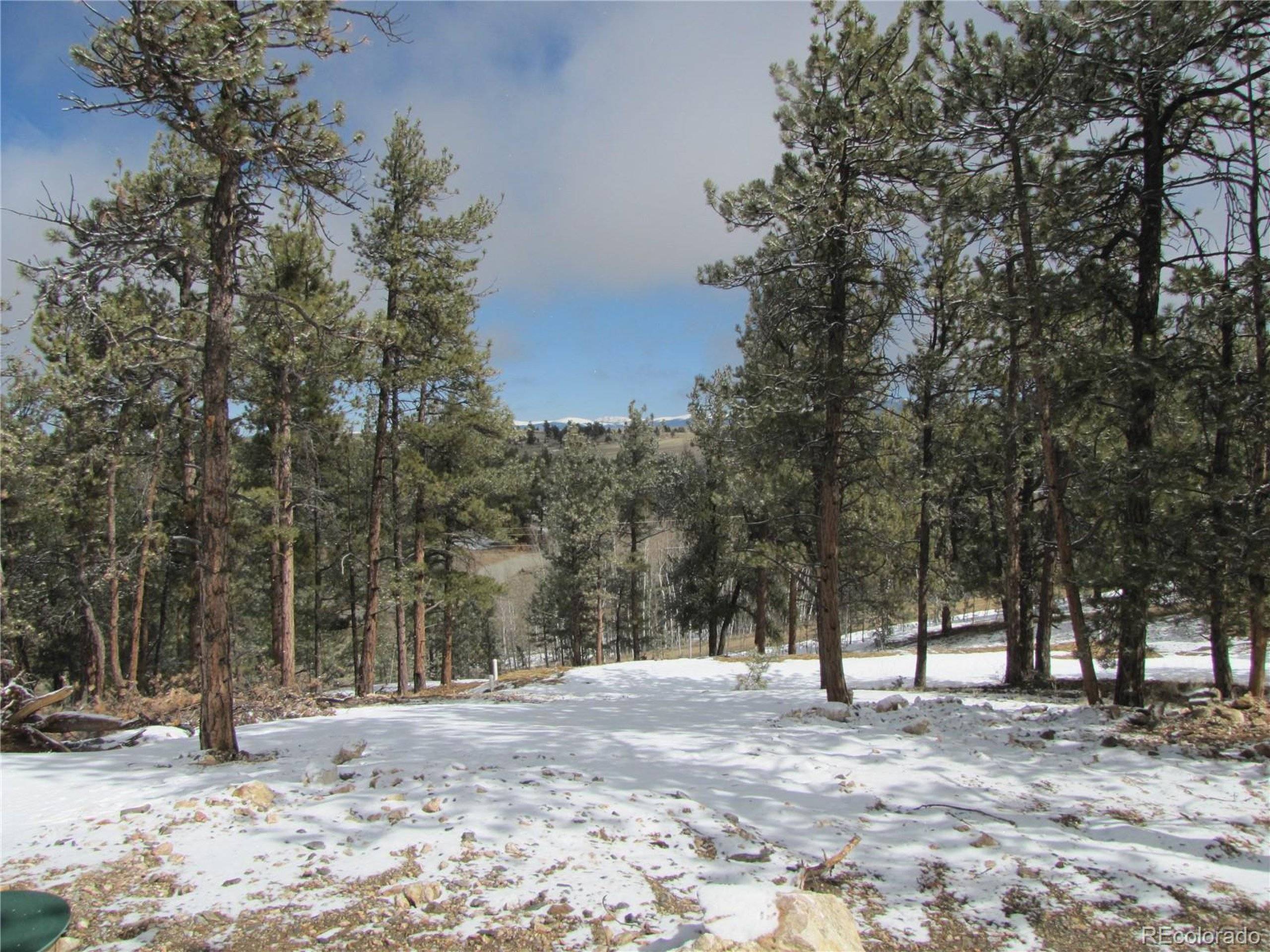 Hartsel, CO 80449,23 Wind Cave Ct