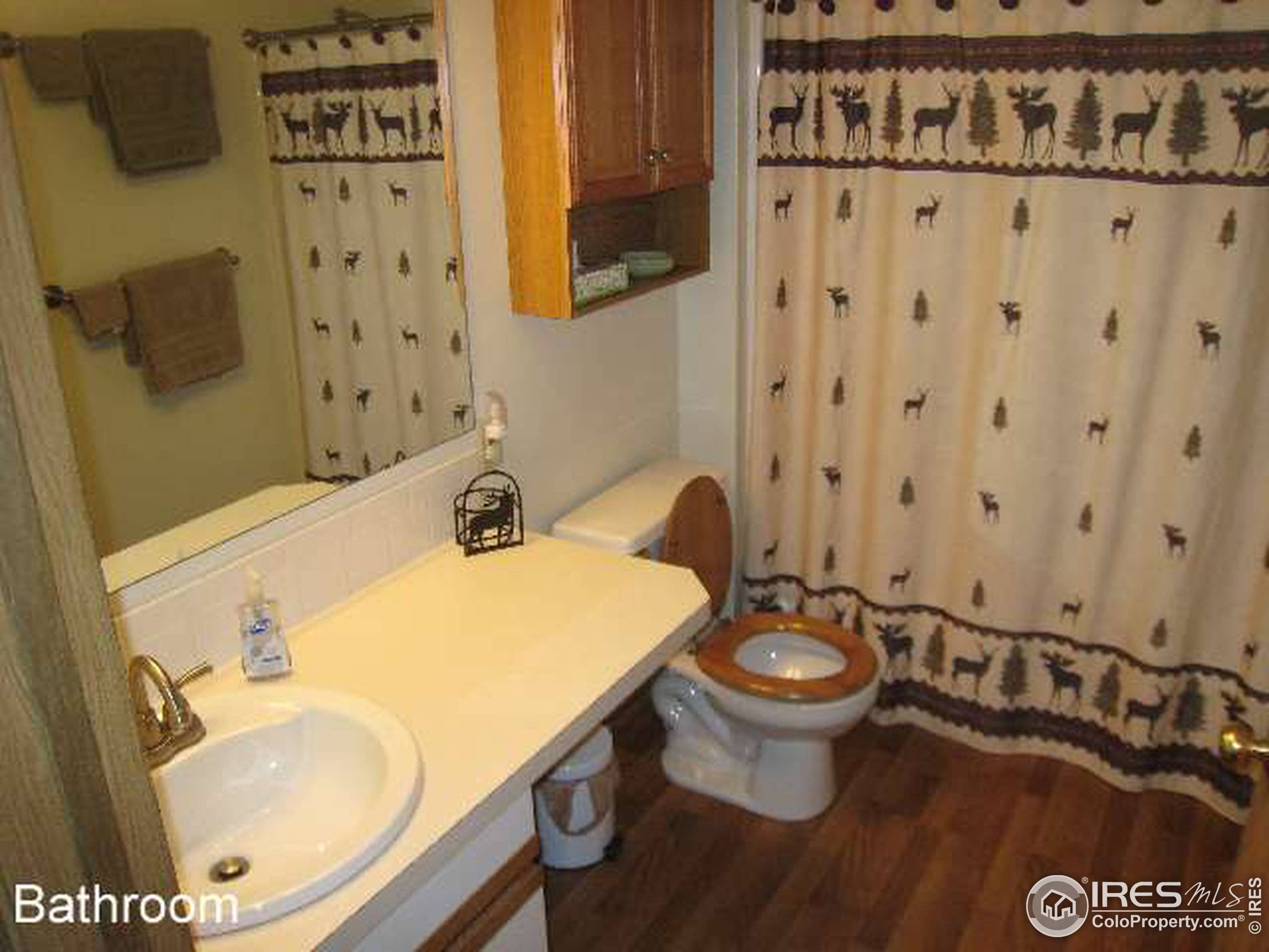 Estes Park, CO 80517,503 Fall River Ln #A