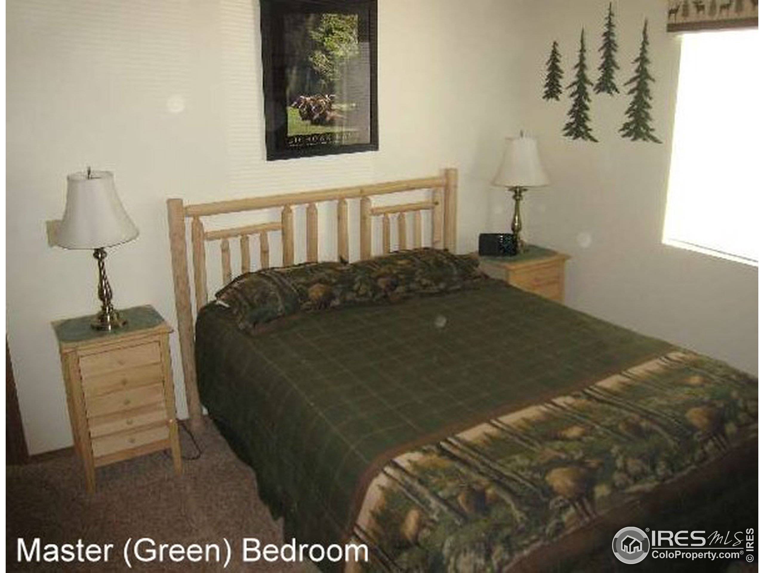 Estes Park, CO 80517,503 Fall River Ln #A