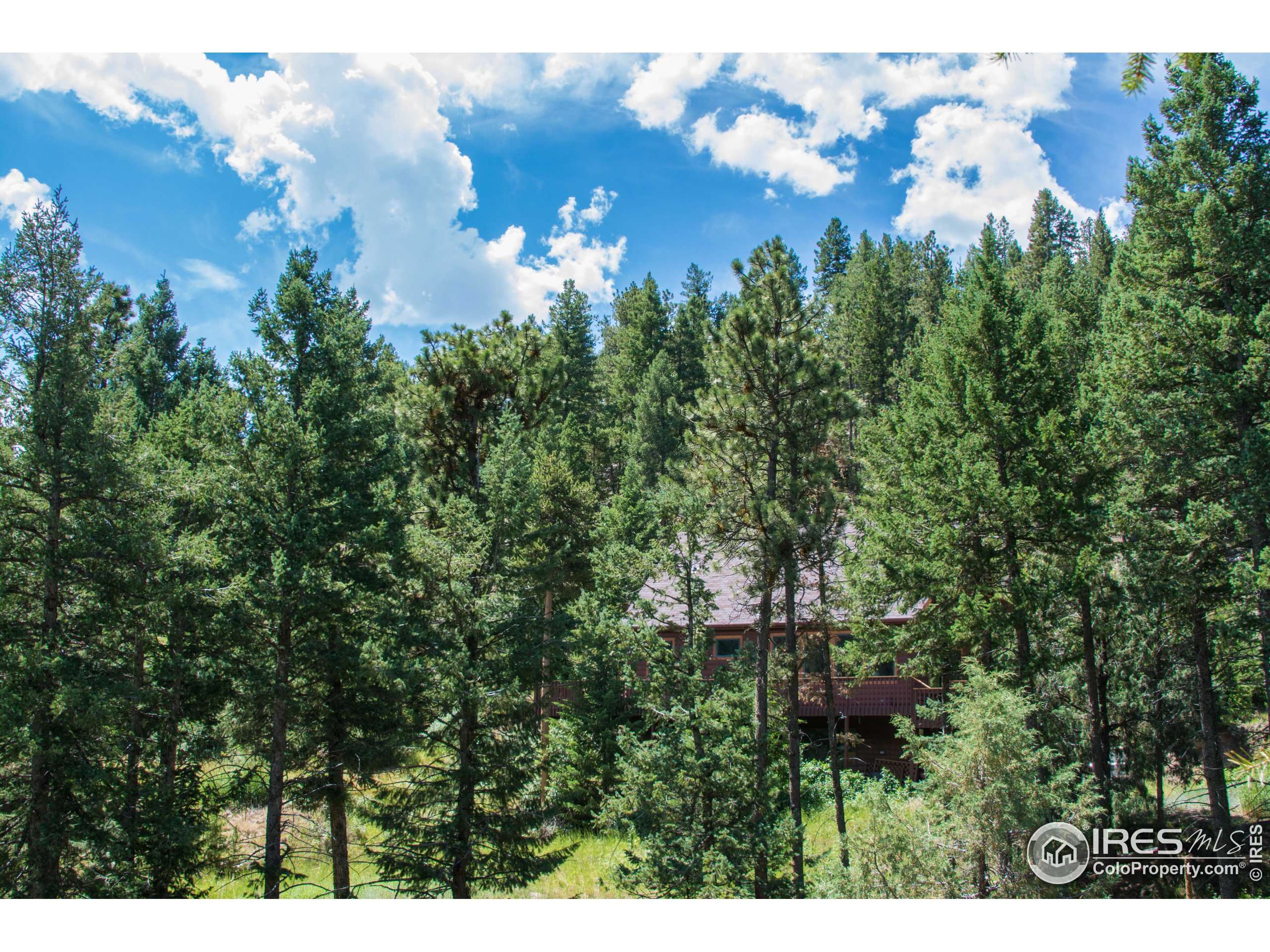 Glen Haven, CO 80532,1225 Bulwark Ridge Dr
