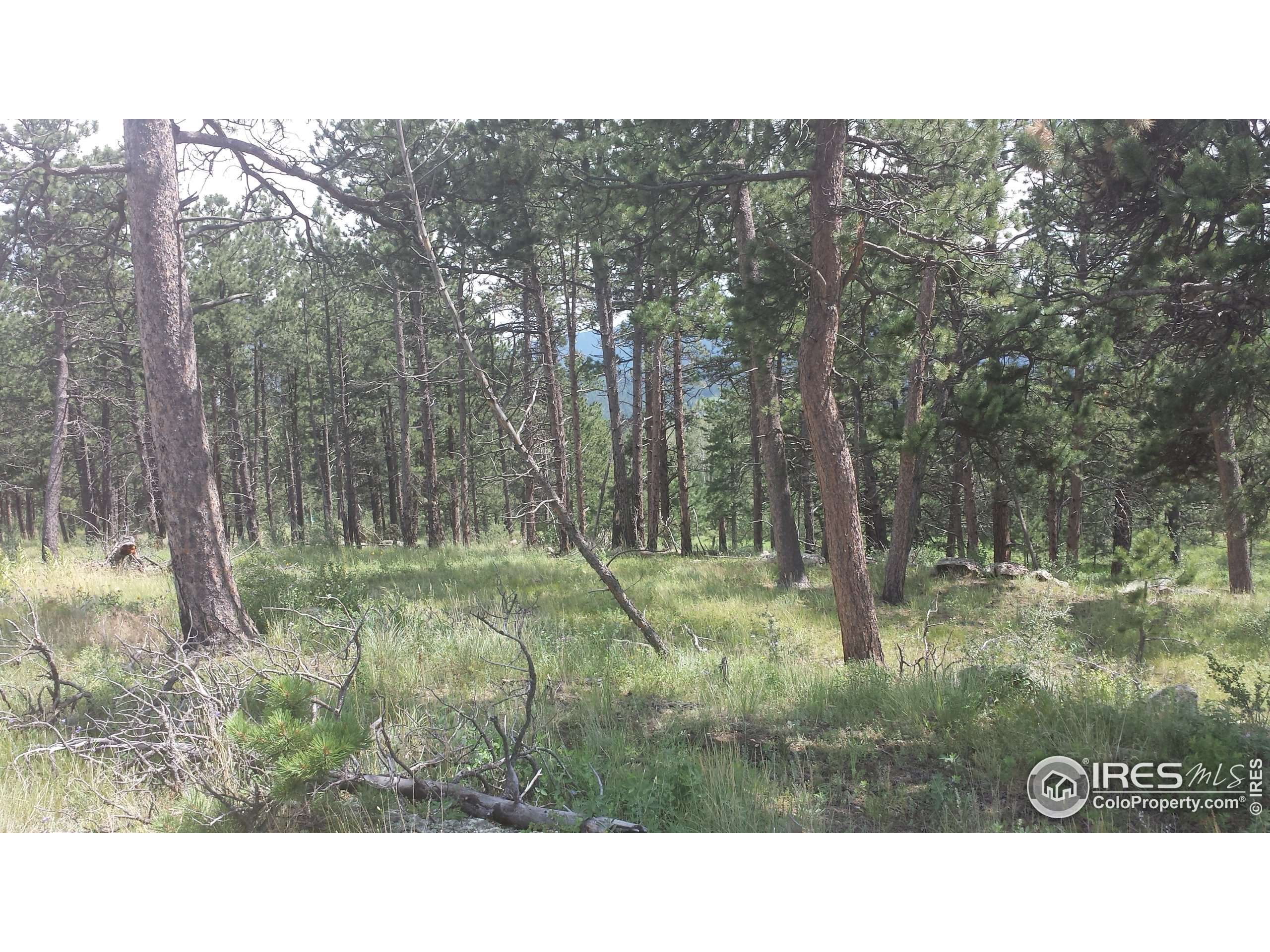 Drake, CO 80515,0 Storm Mountain Dr