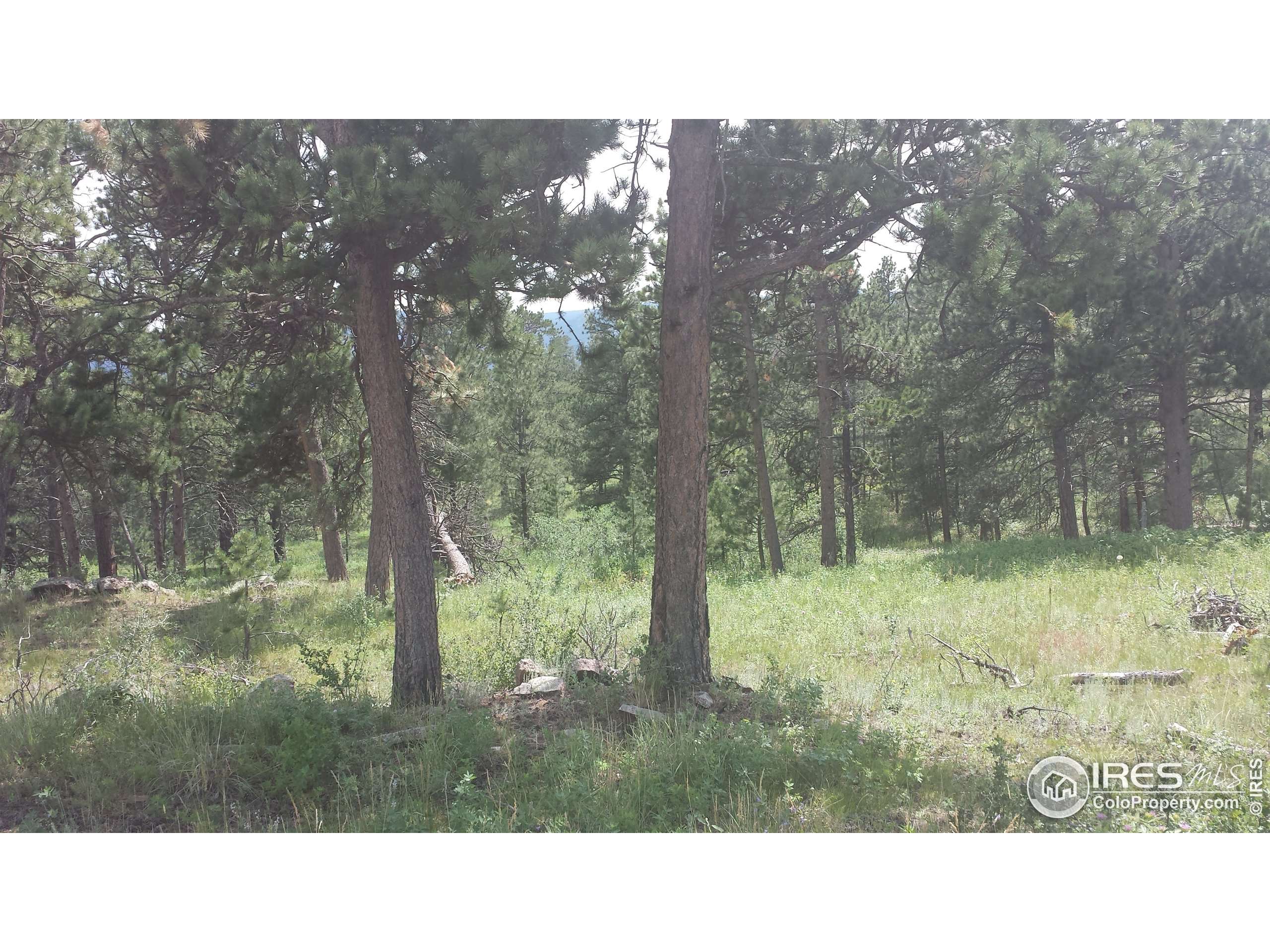 Drake, CO 80515,0 Storm Mountain Dr