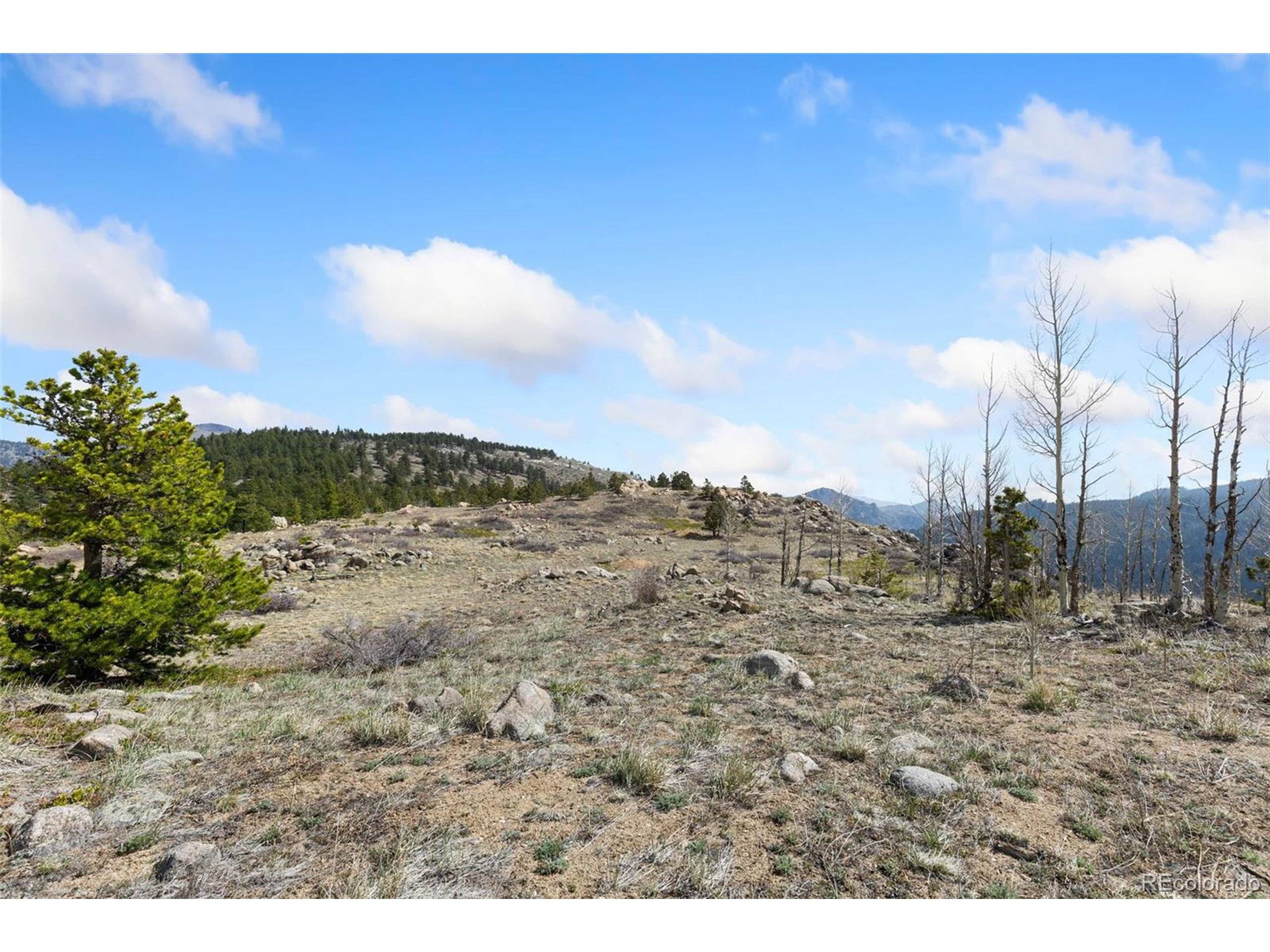 Nederland, CO 80466,5260 Ridge Rd