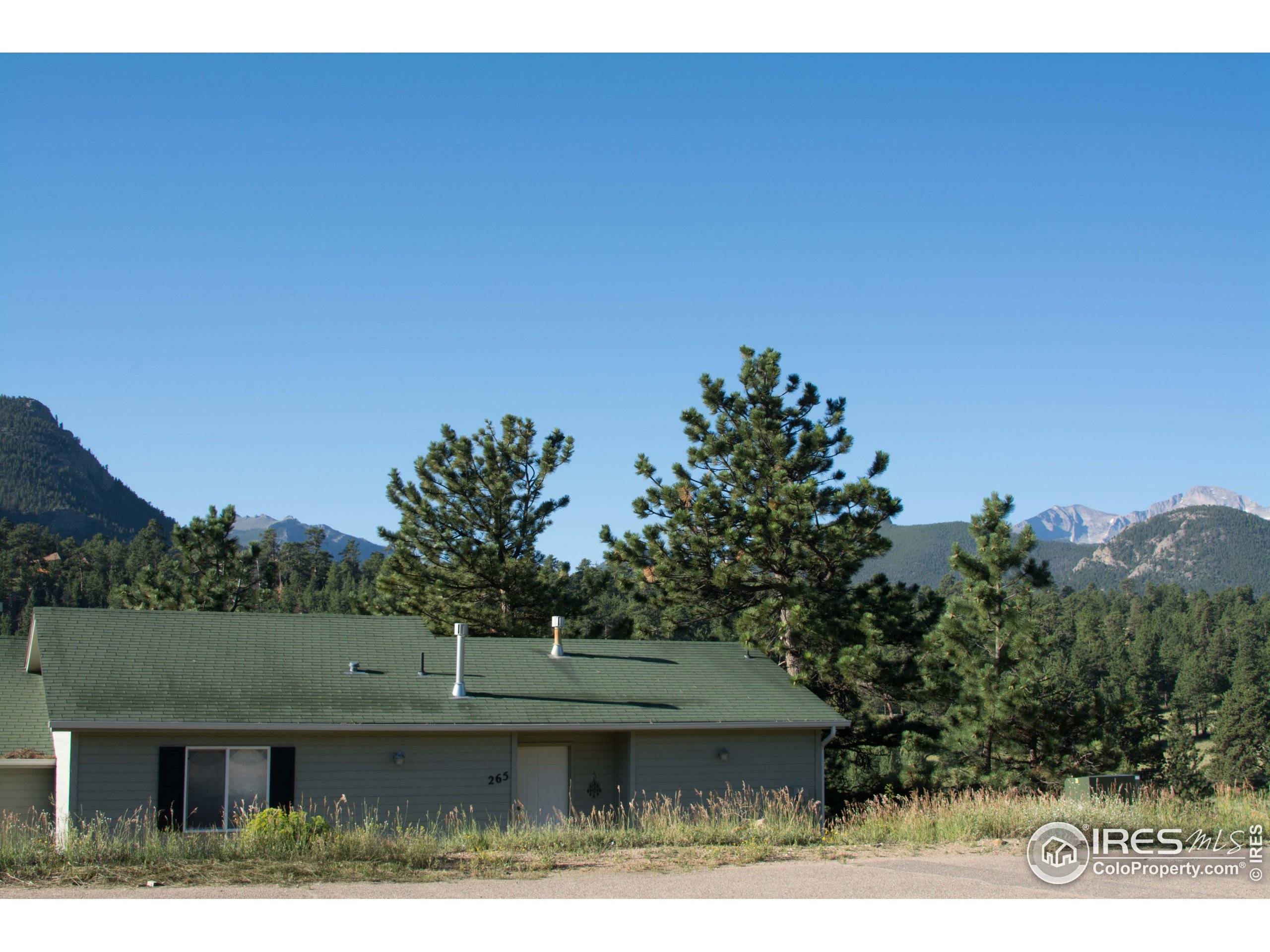 Estes Park, CO 80517,265 Sunny Acres Ct