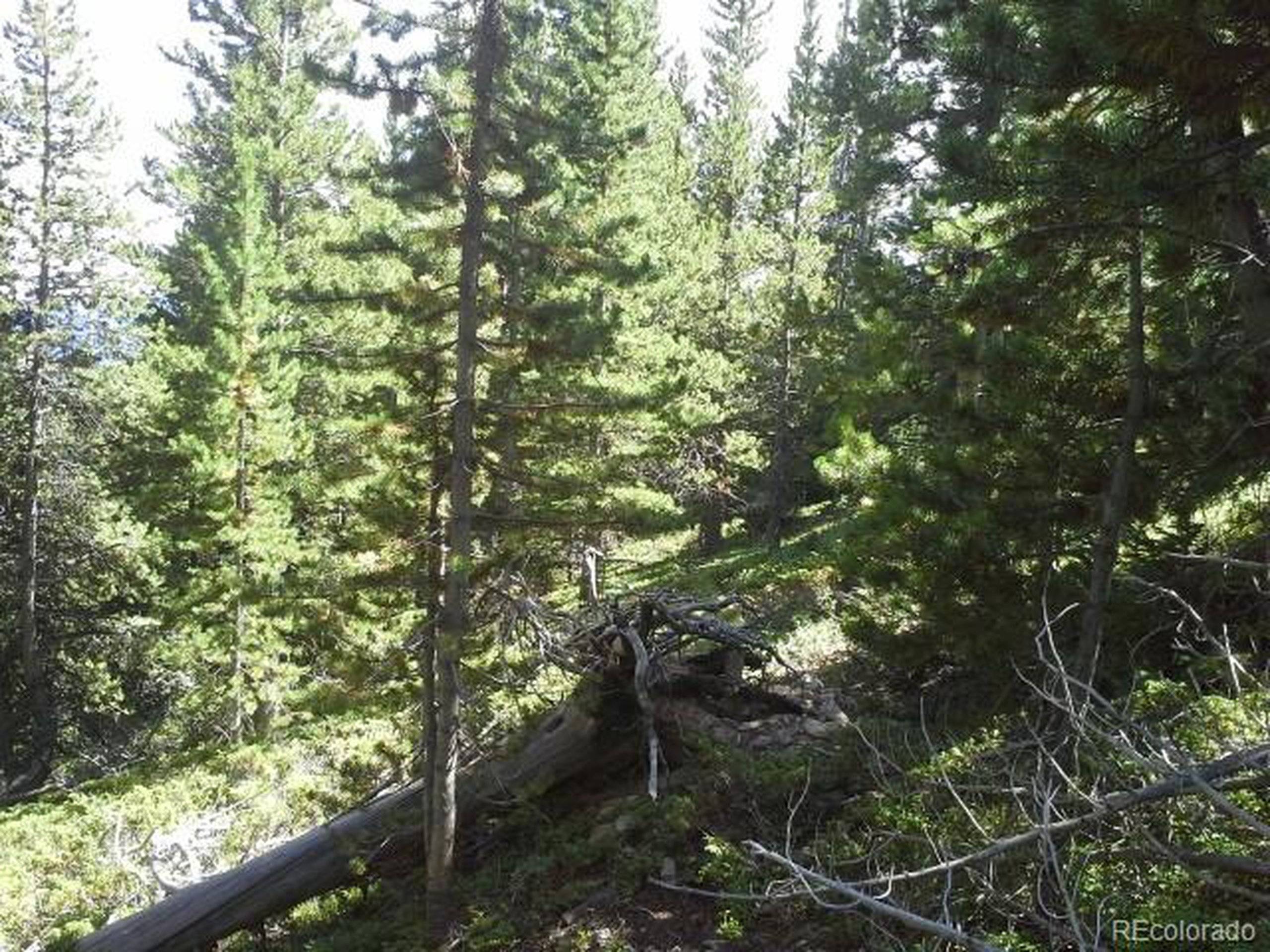 Idaho Springs, CO 80436,Hillside Road