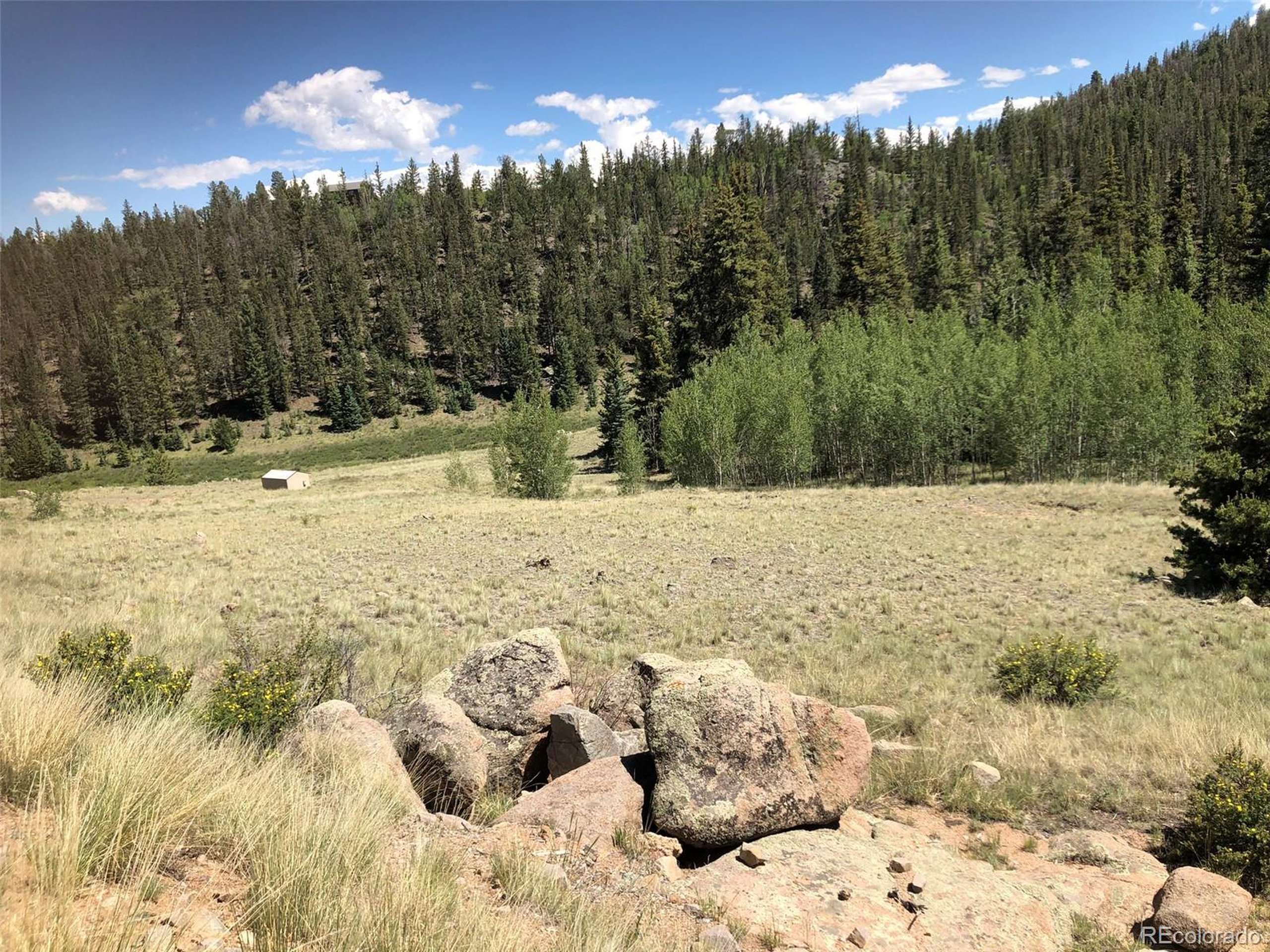 Jefferson, CO 80456,1135 Swiggler Rd