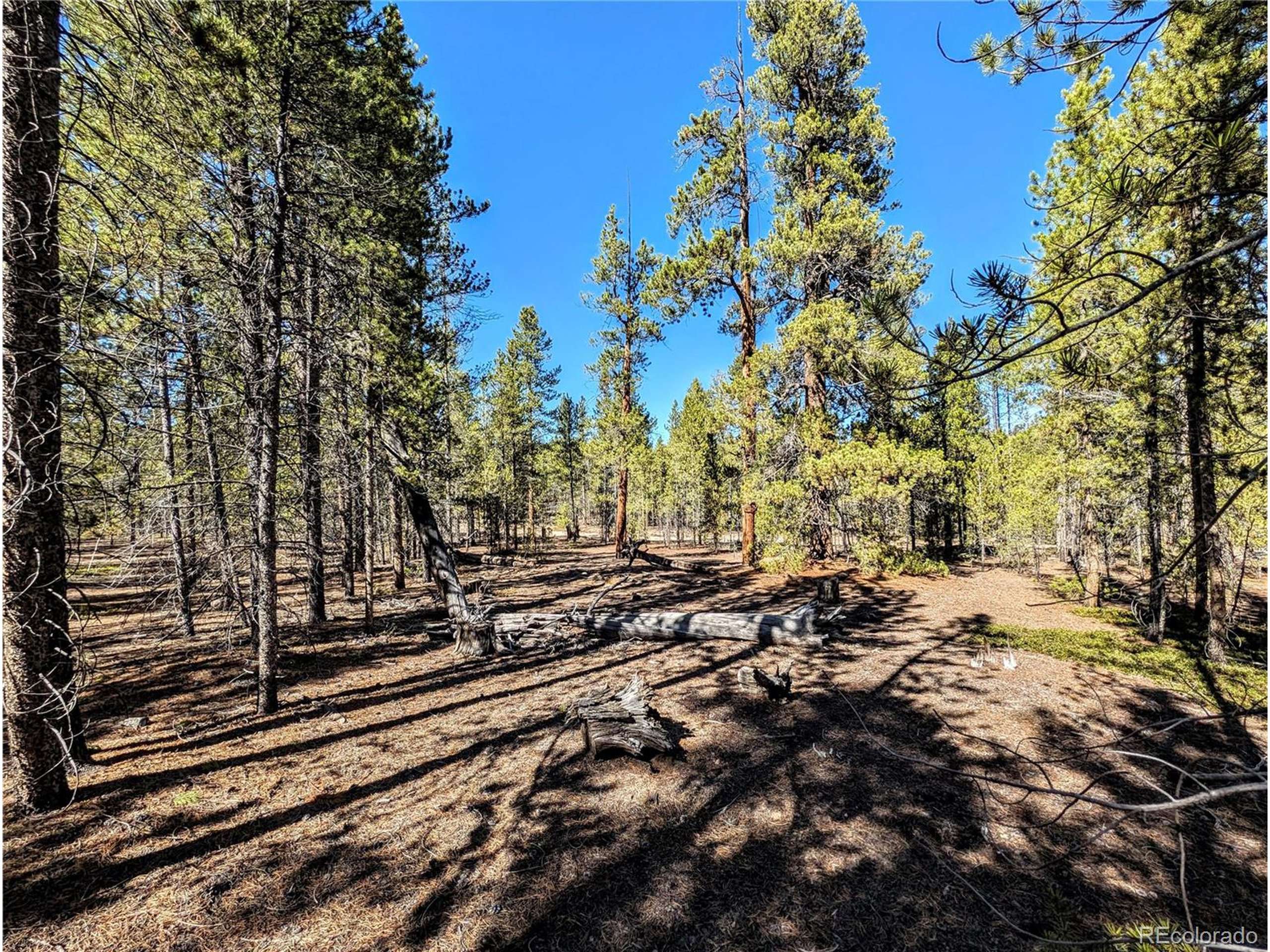 Twin Lakes, CO 81251,322 Juniper Dr