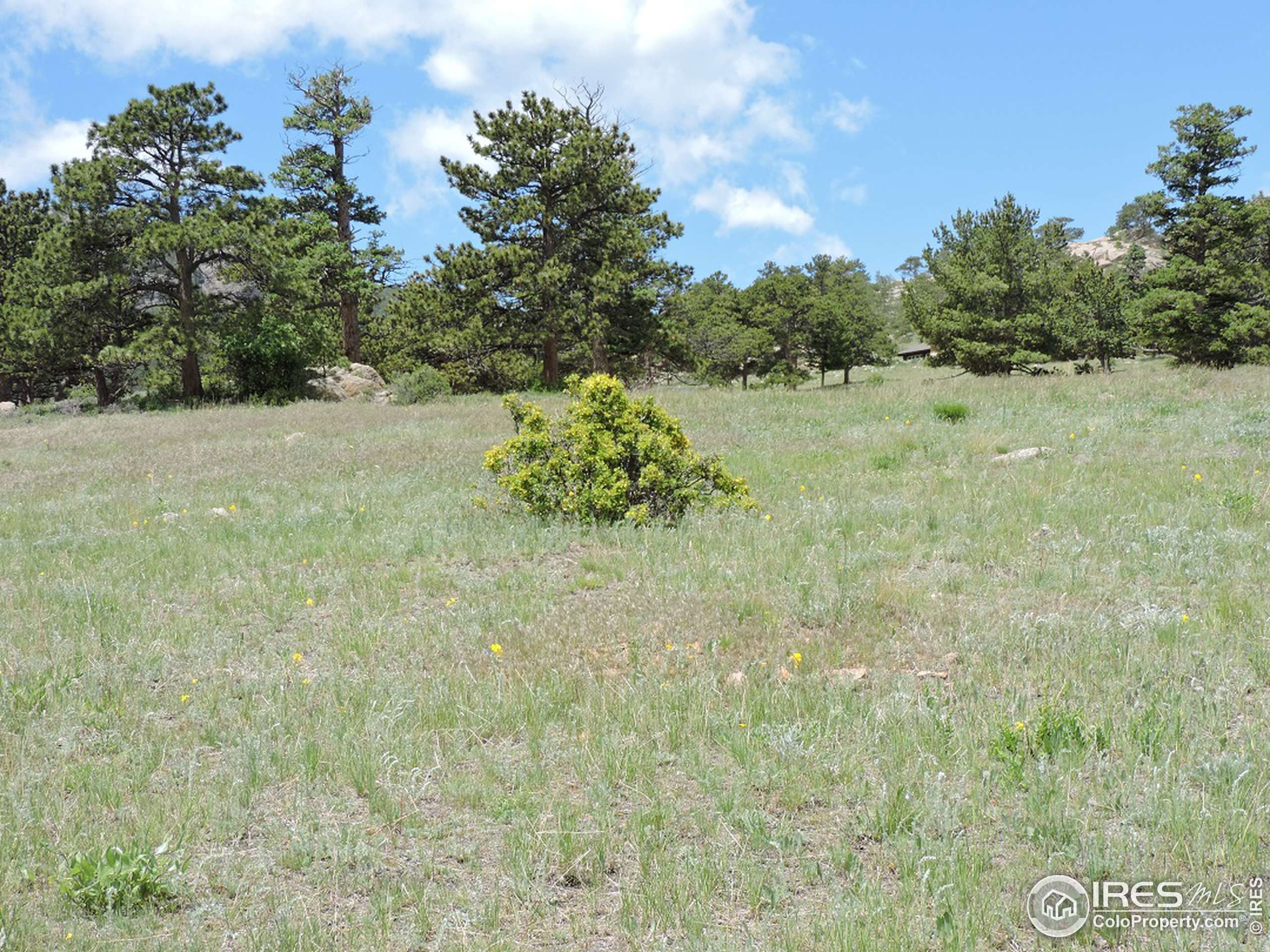 Estes Park, CO 80517,0 Grey Fox Dr #Lot 31