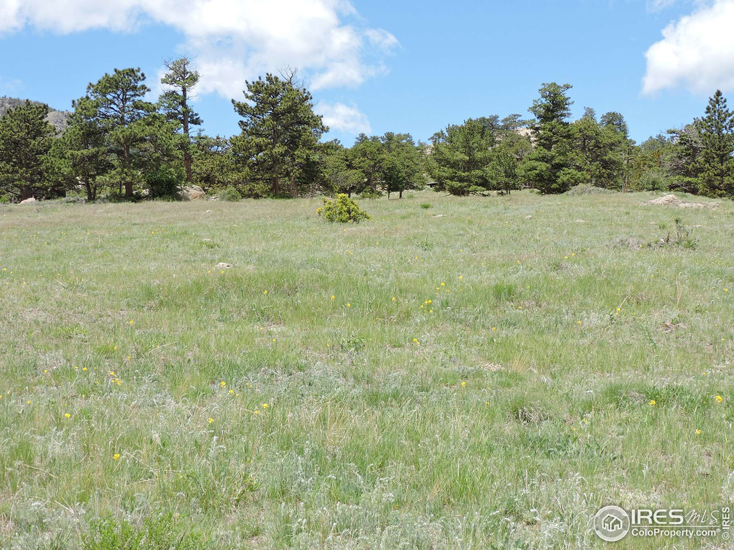 Estes Park, CO 80517,0 Grey Fox Dr #Lot 31