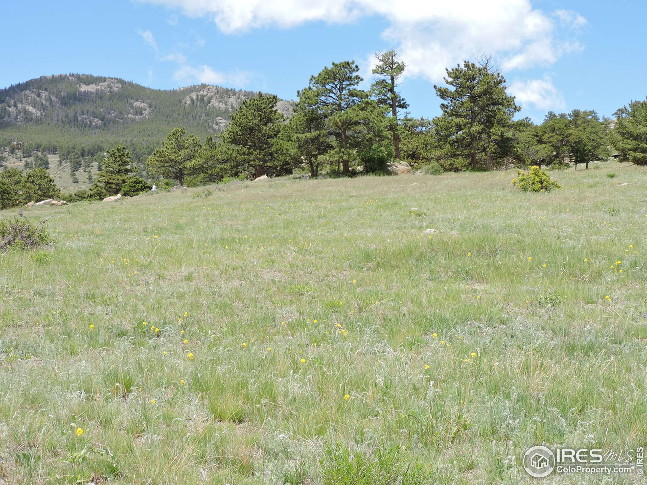 Estes Park, CO 80517,0 Grey Fox Dr #Lot 31