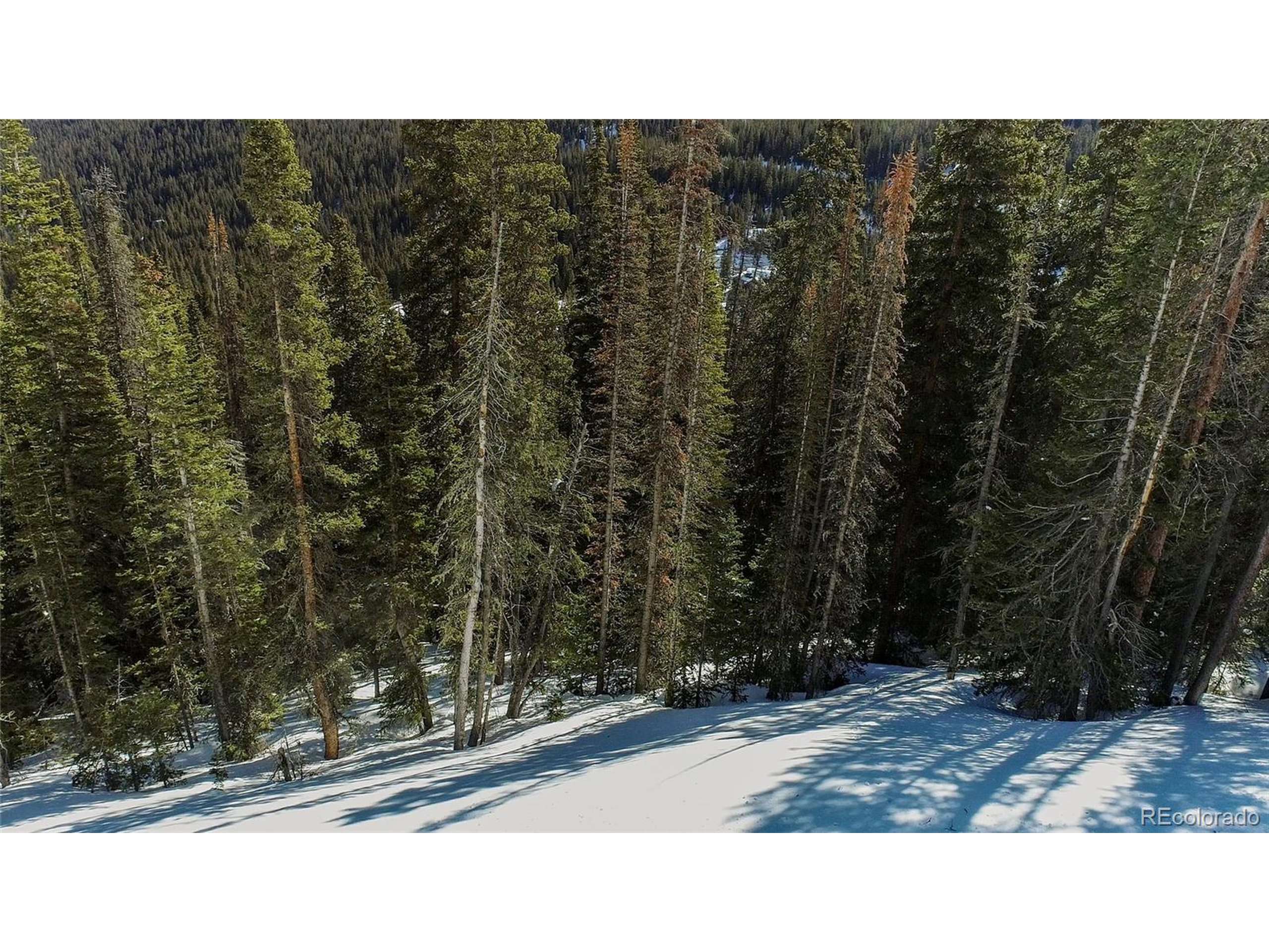 Breckenridge, CO 80424,434 Carroll Ln