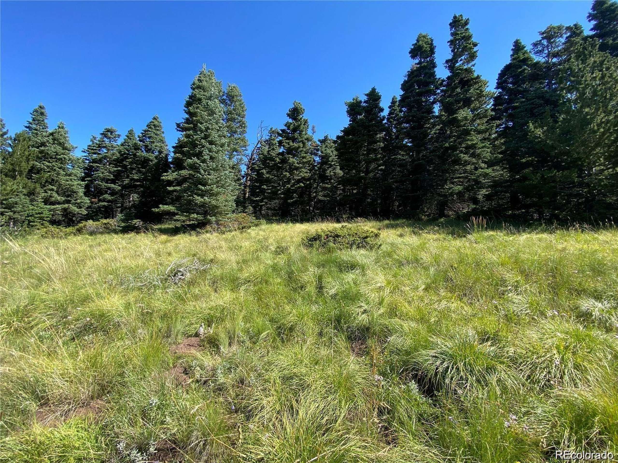 Fort Garland, CO 81133,3141 Forbes Loop Rd
