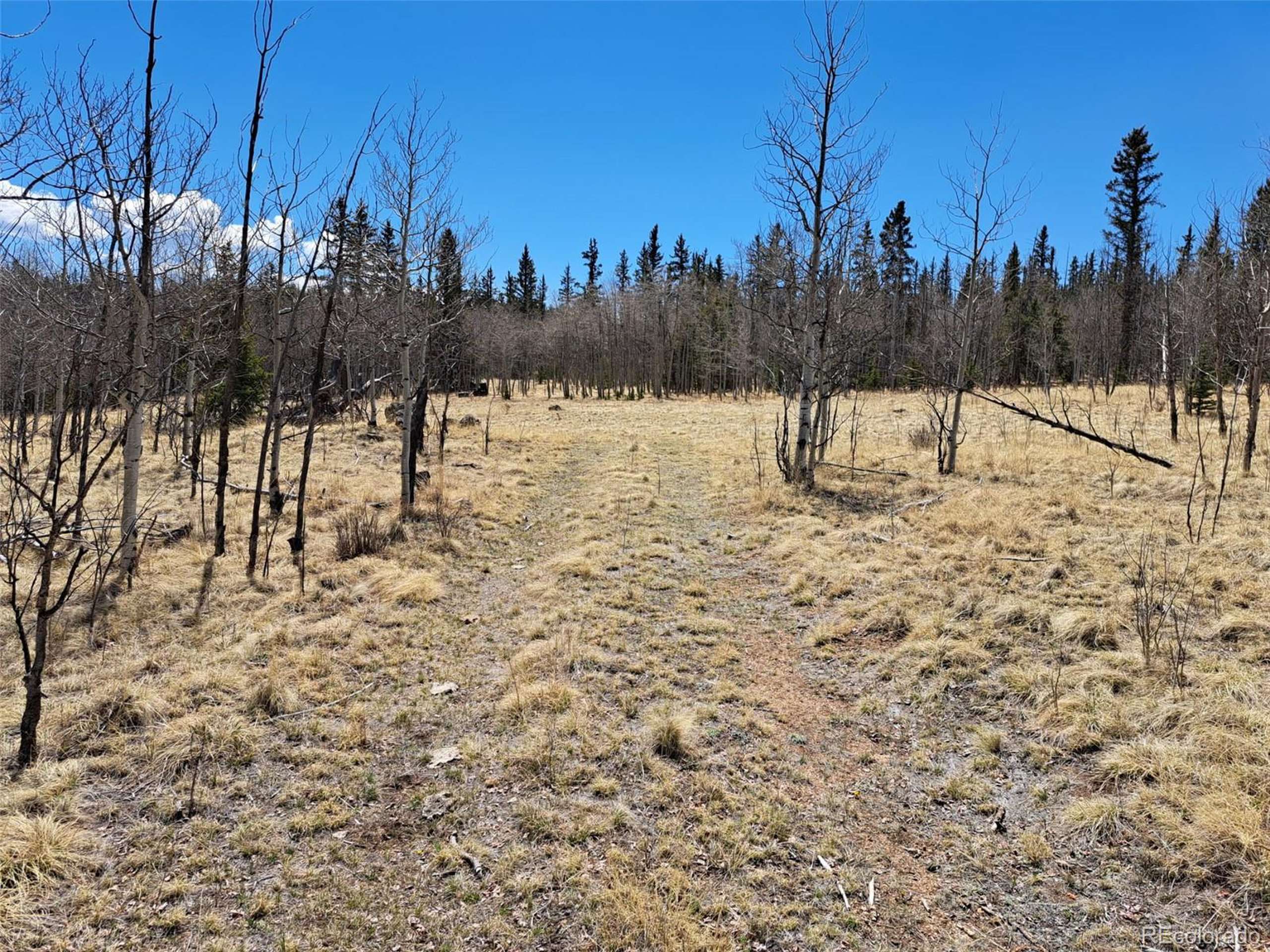 Como, CO 80432,400 Vulture Ln
