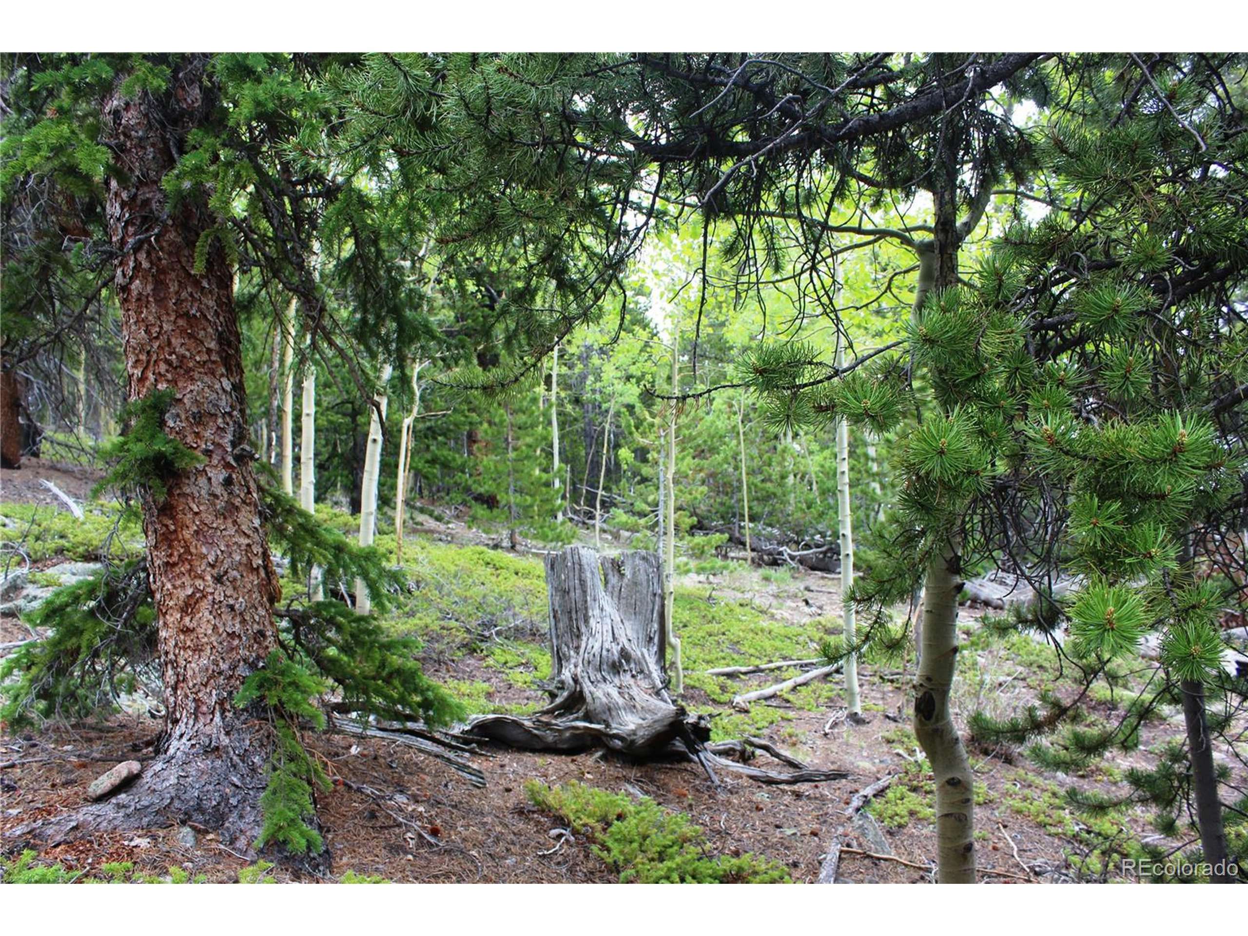 Idaho Springs, CO 80452,2 Lamartine Rd