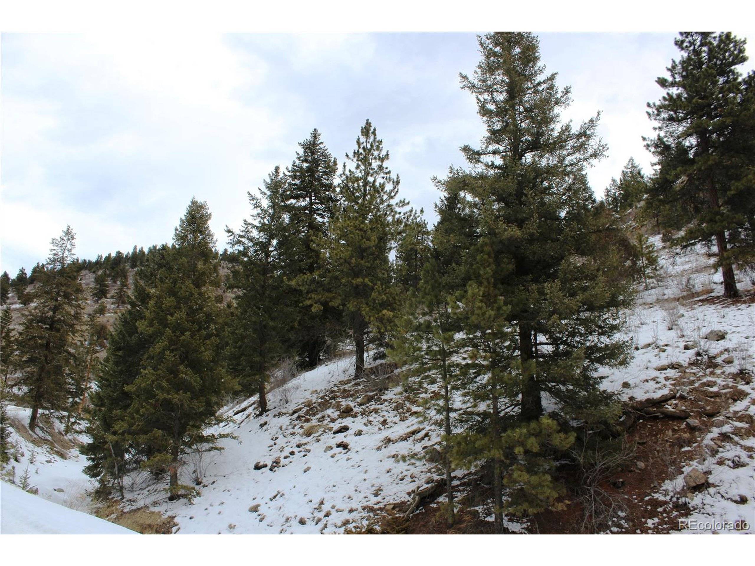 Idaho Springs, CO 80425,0 Two Brothers Rd