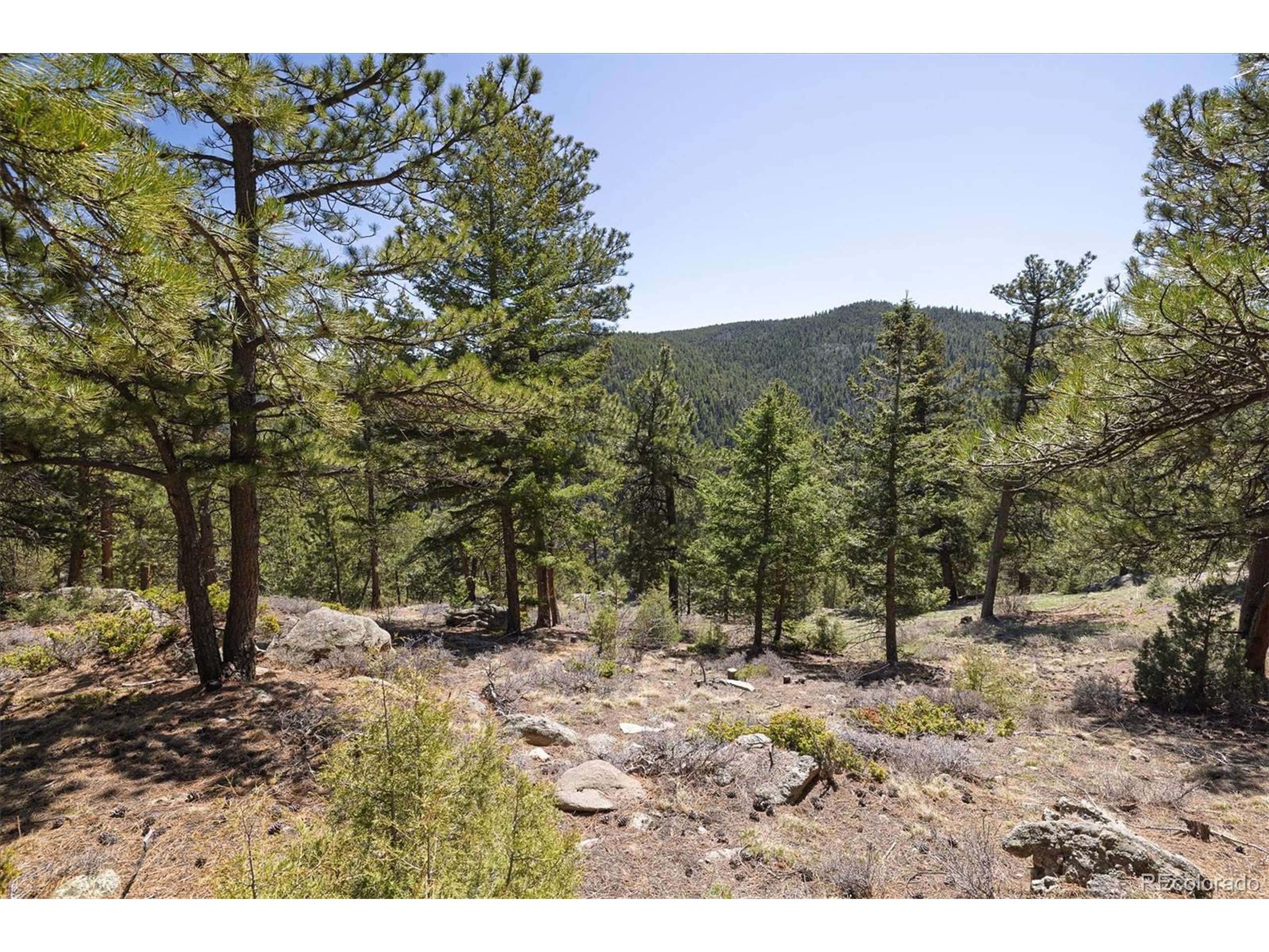 Nederland, CO 80466,213 Rocky Knob Ln