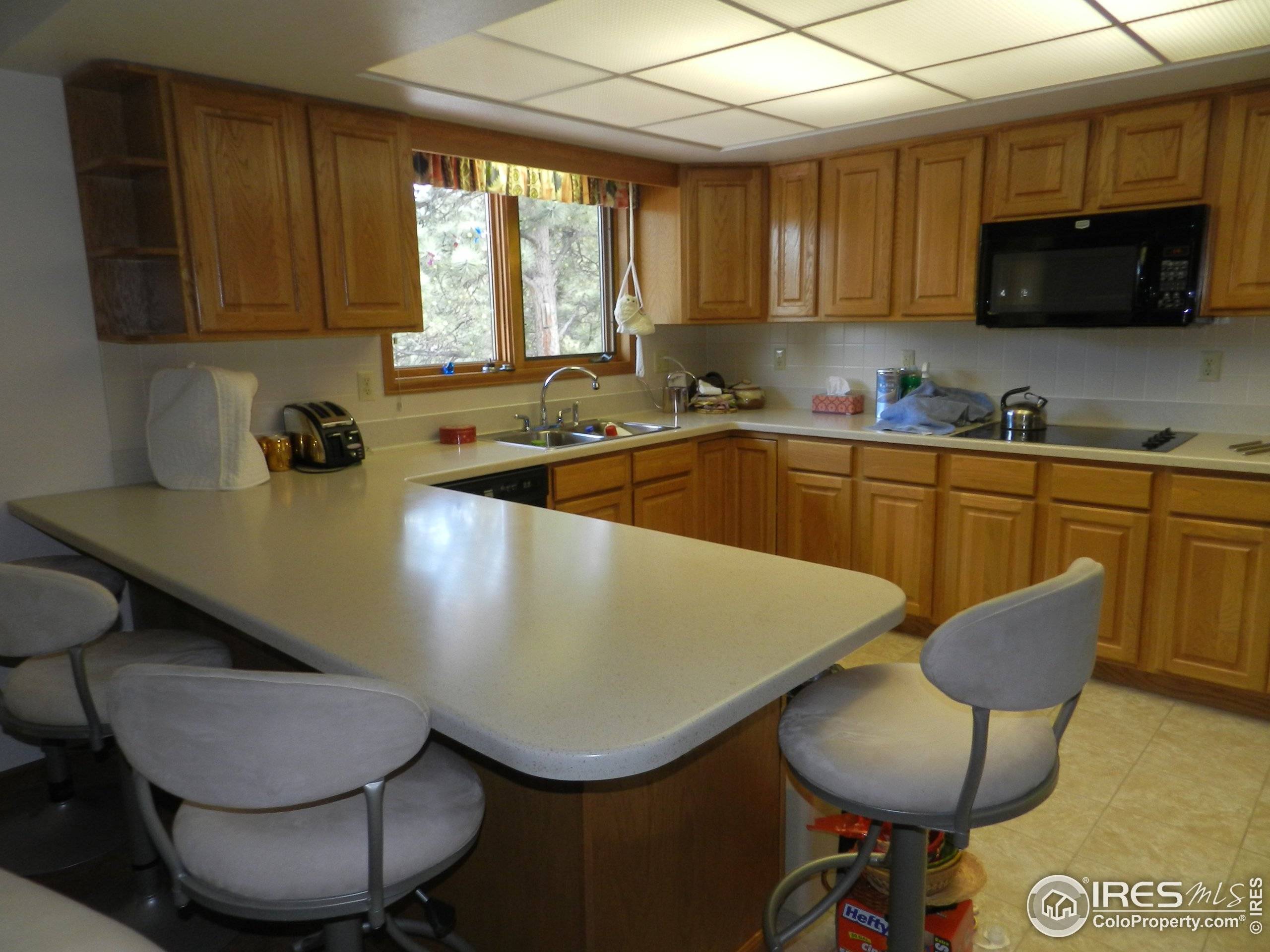 Estes Park, CO 80517,1017 Pine Knoll Dr