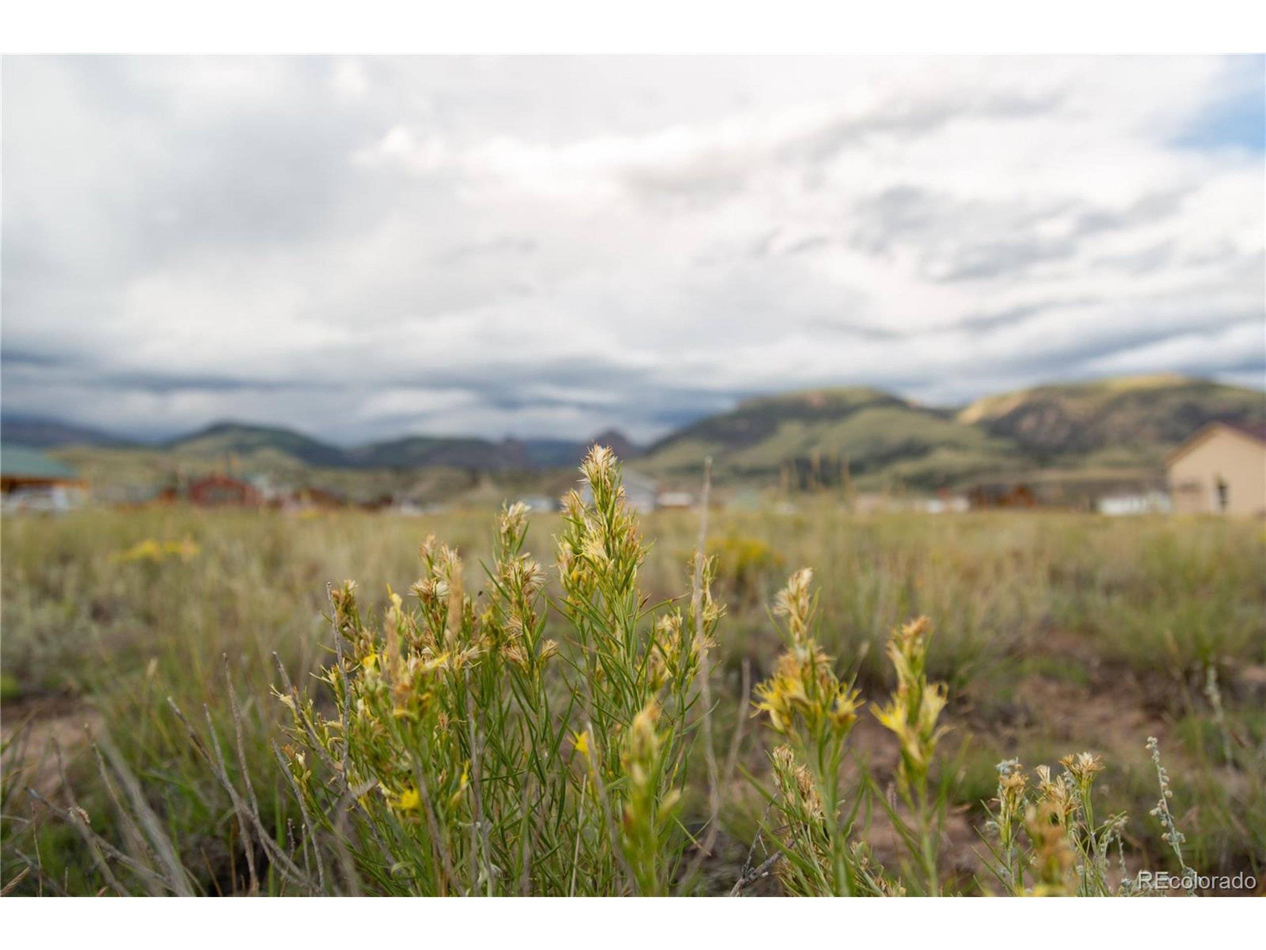 Creede, CO 81130,Address not disclosed