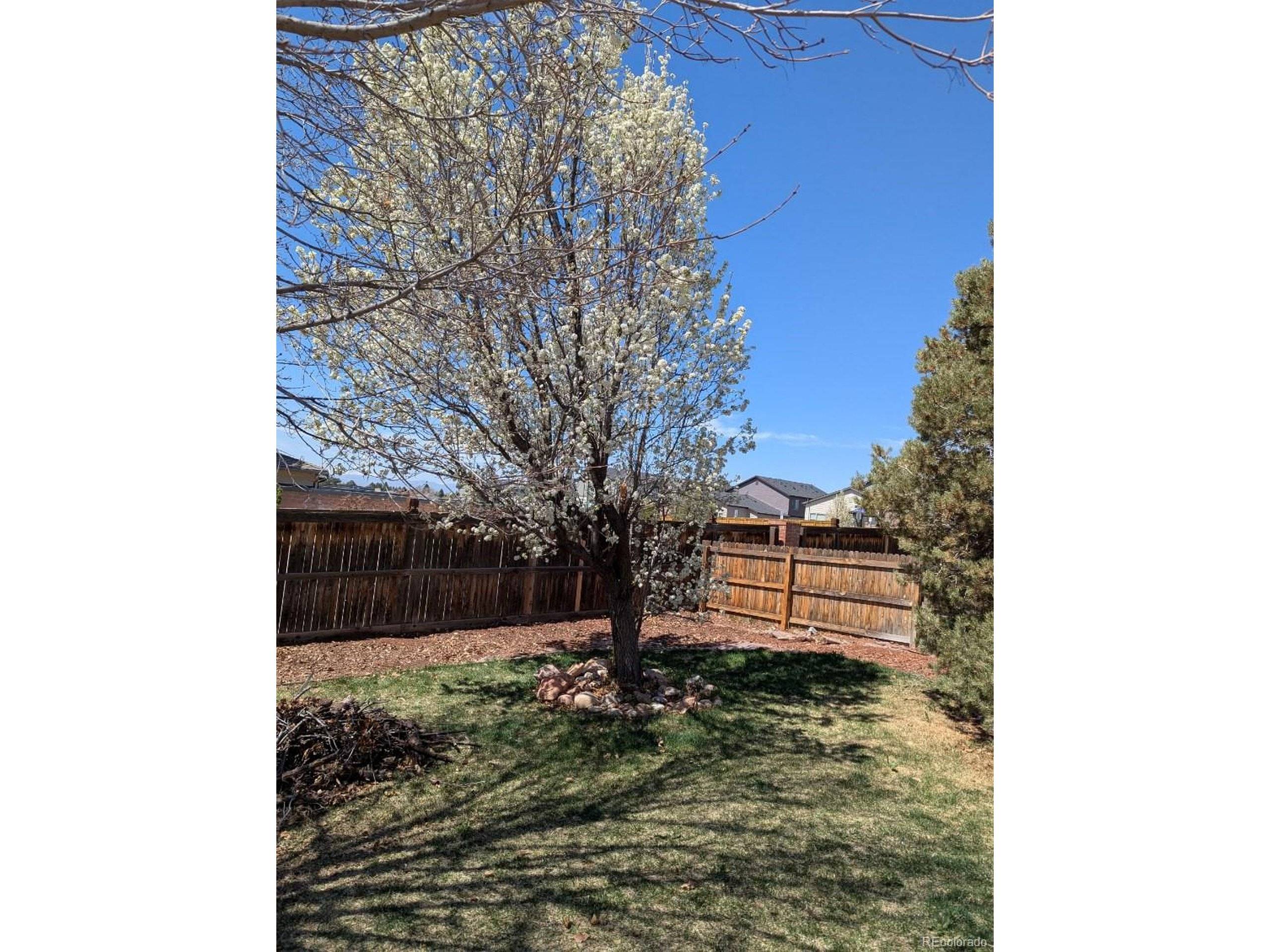 Centennial, CO 80015,4483 S Fundy St